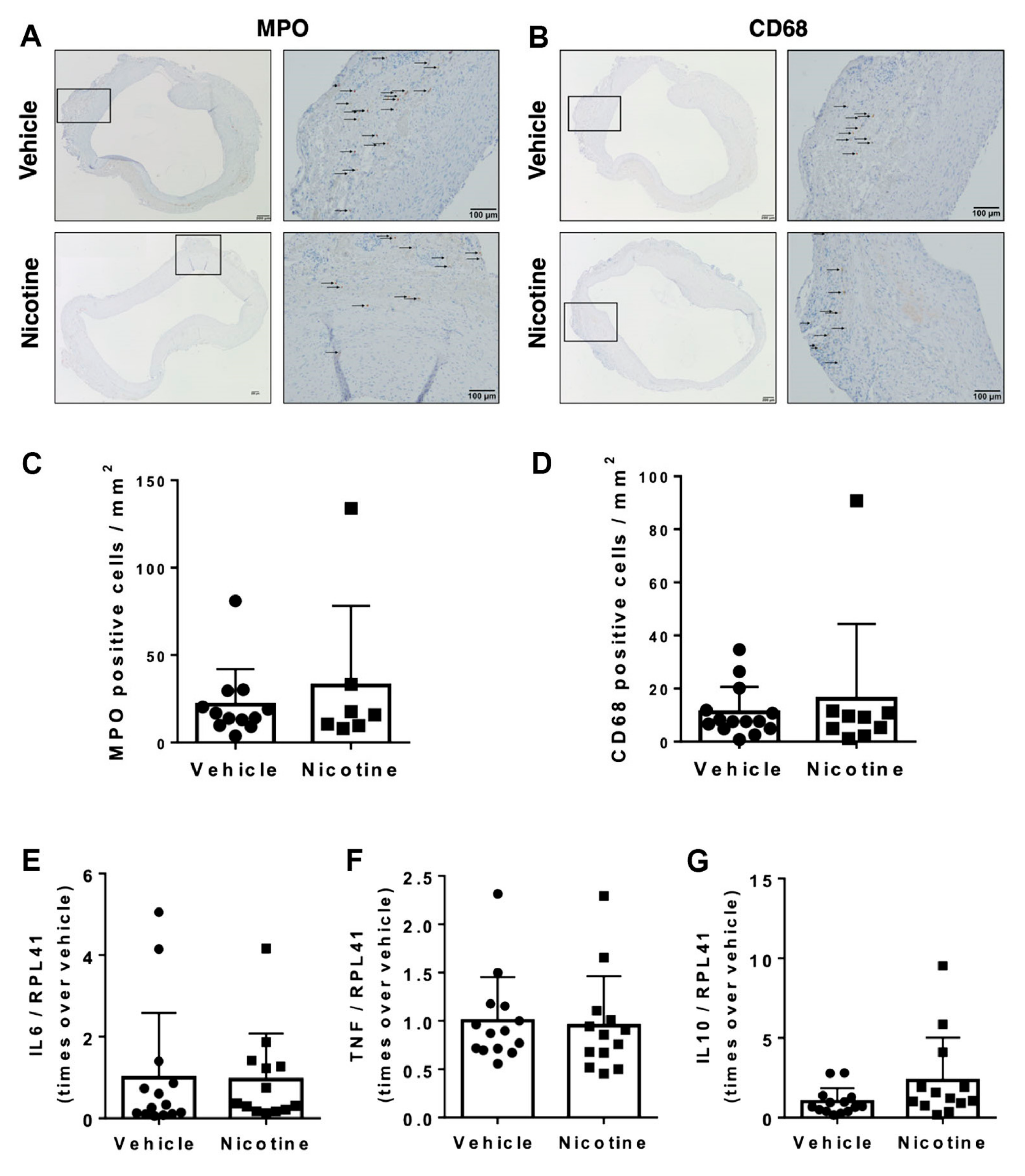Biomedicines 11 01417 g005