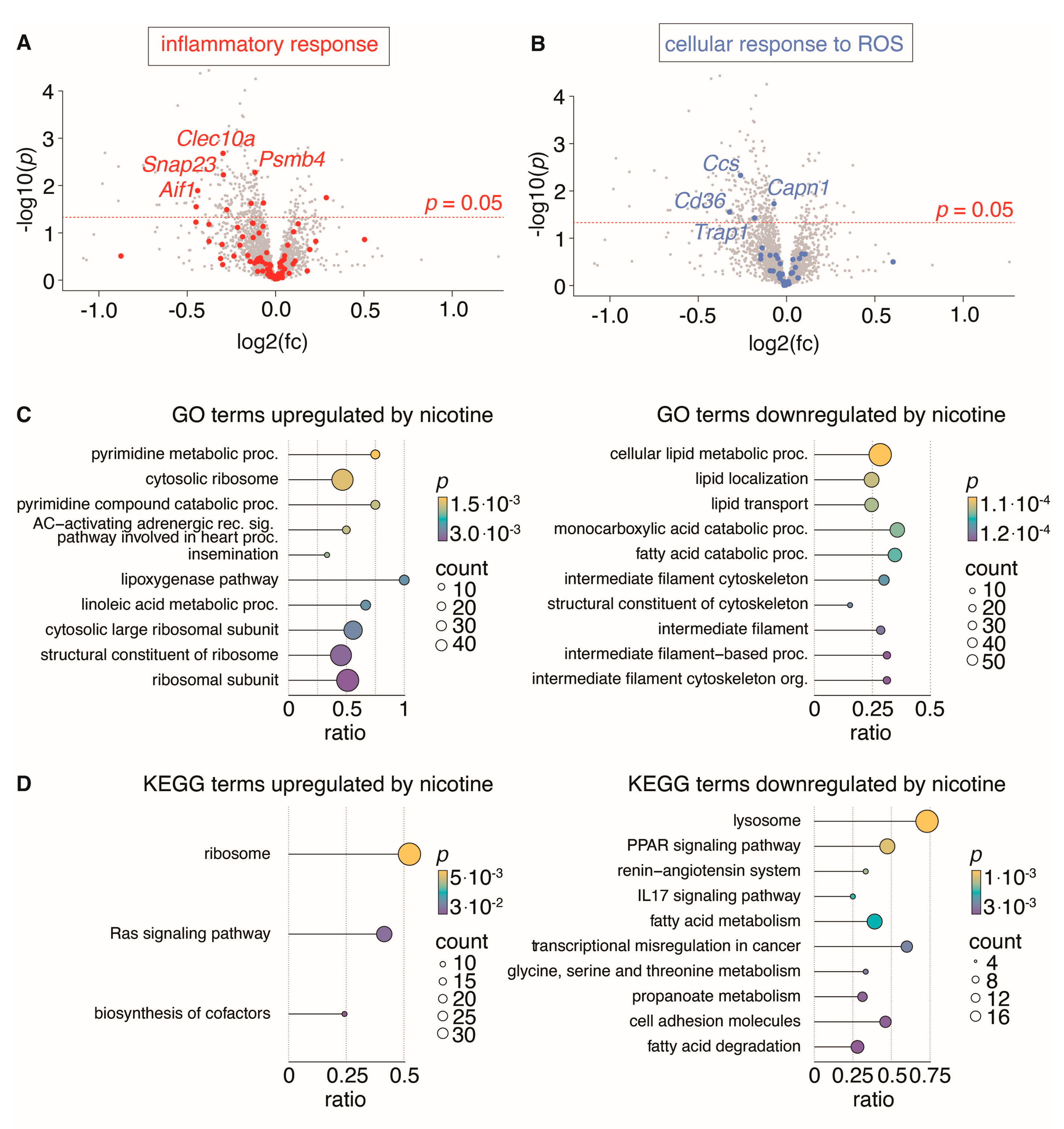 Biomedicines 11 01417 g008
