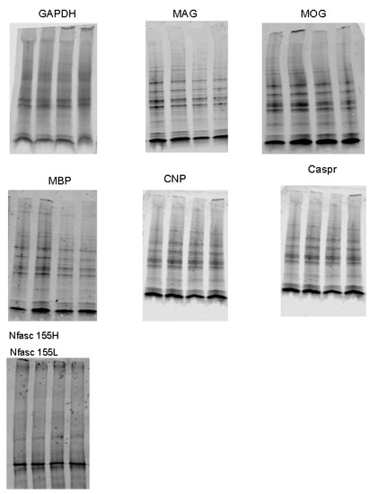 Biomedicines 11 01431 g0a1