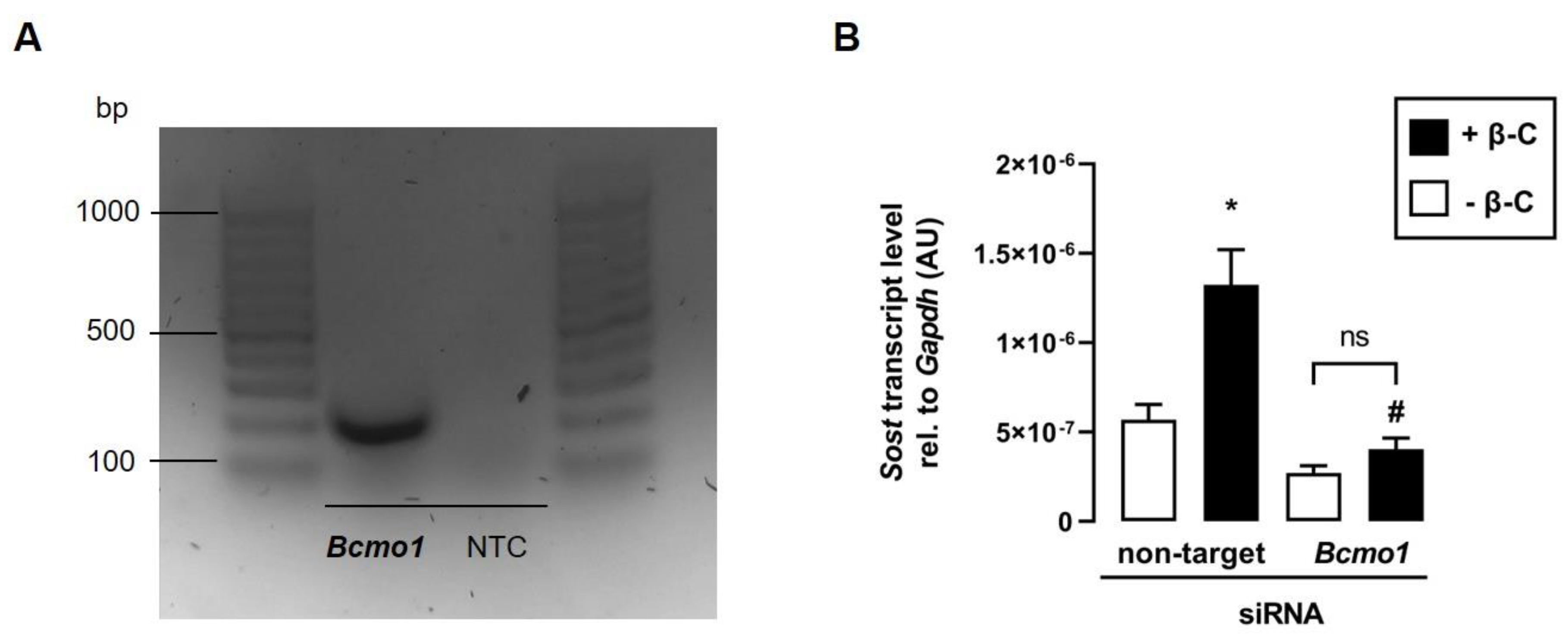 Biomedicines 11 01432 g005 Biomedicines 11 01432 g005