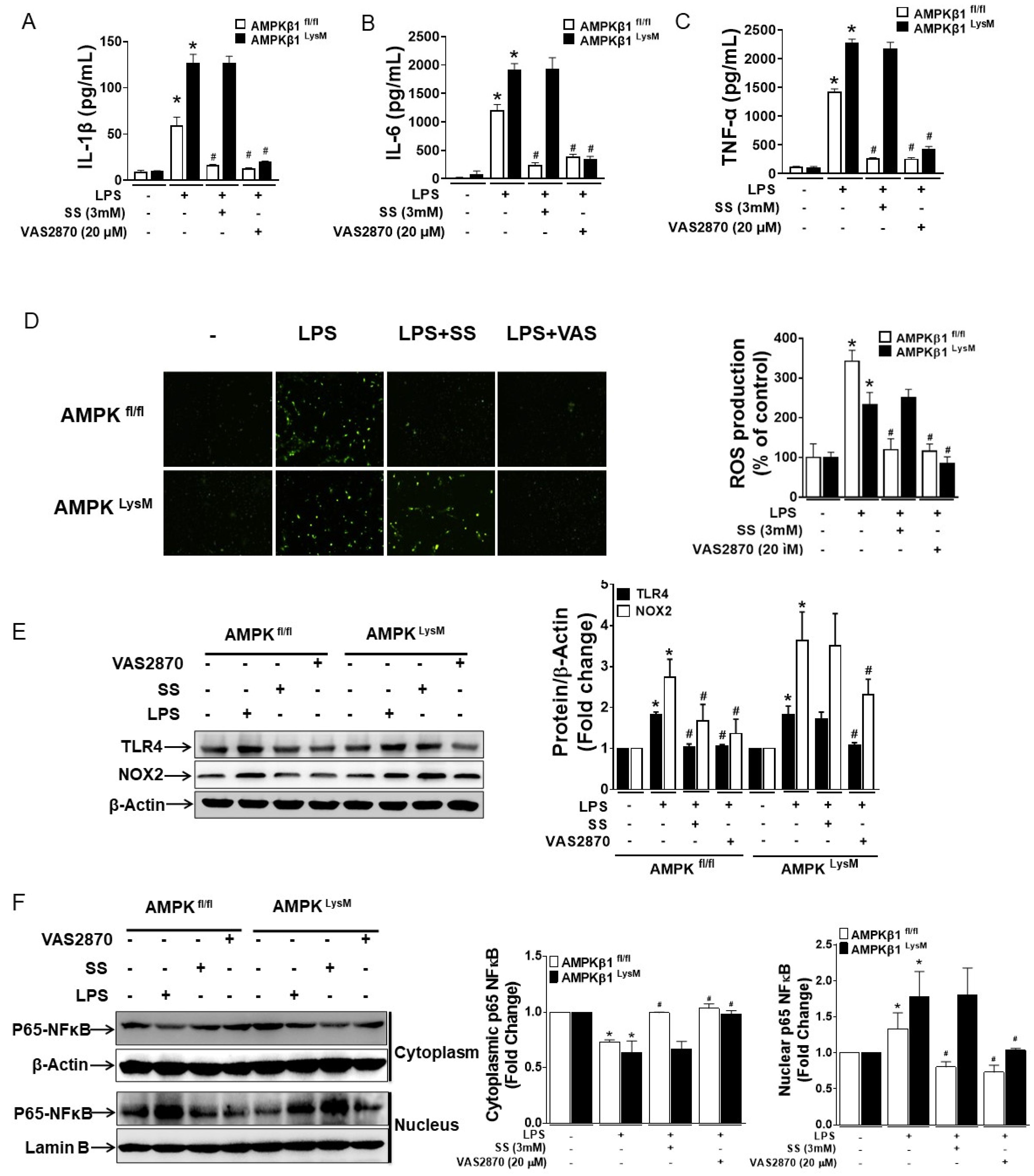 Biomedicines 11 01443 g002