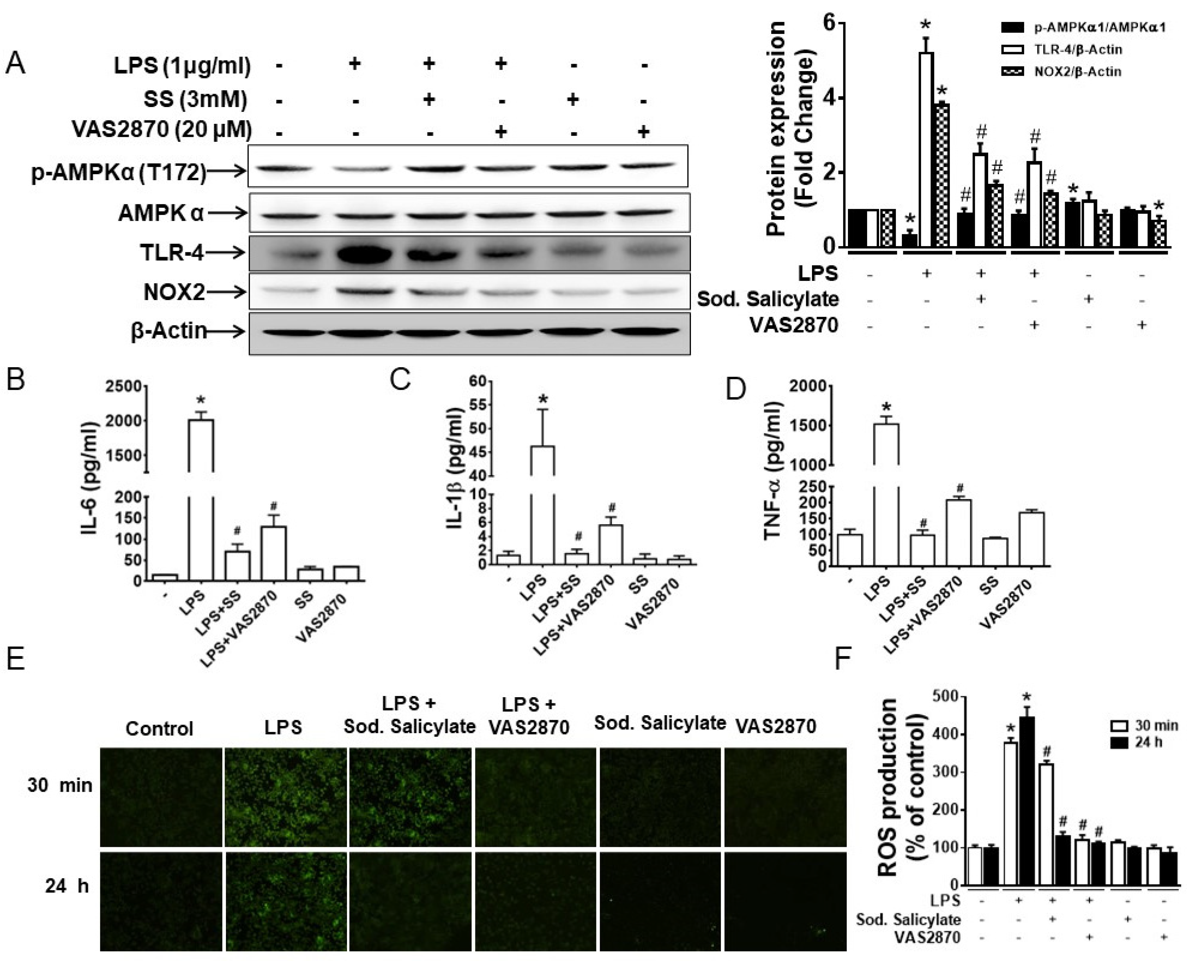 Biomedicines 11 01443 g003