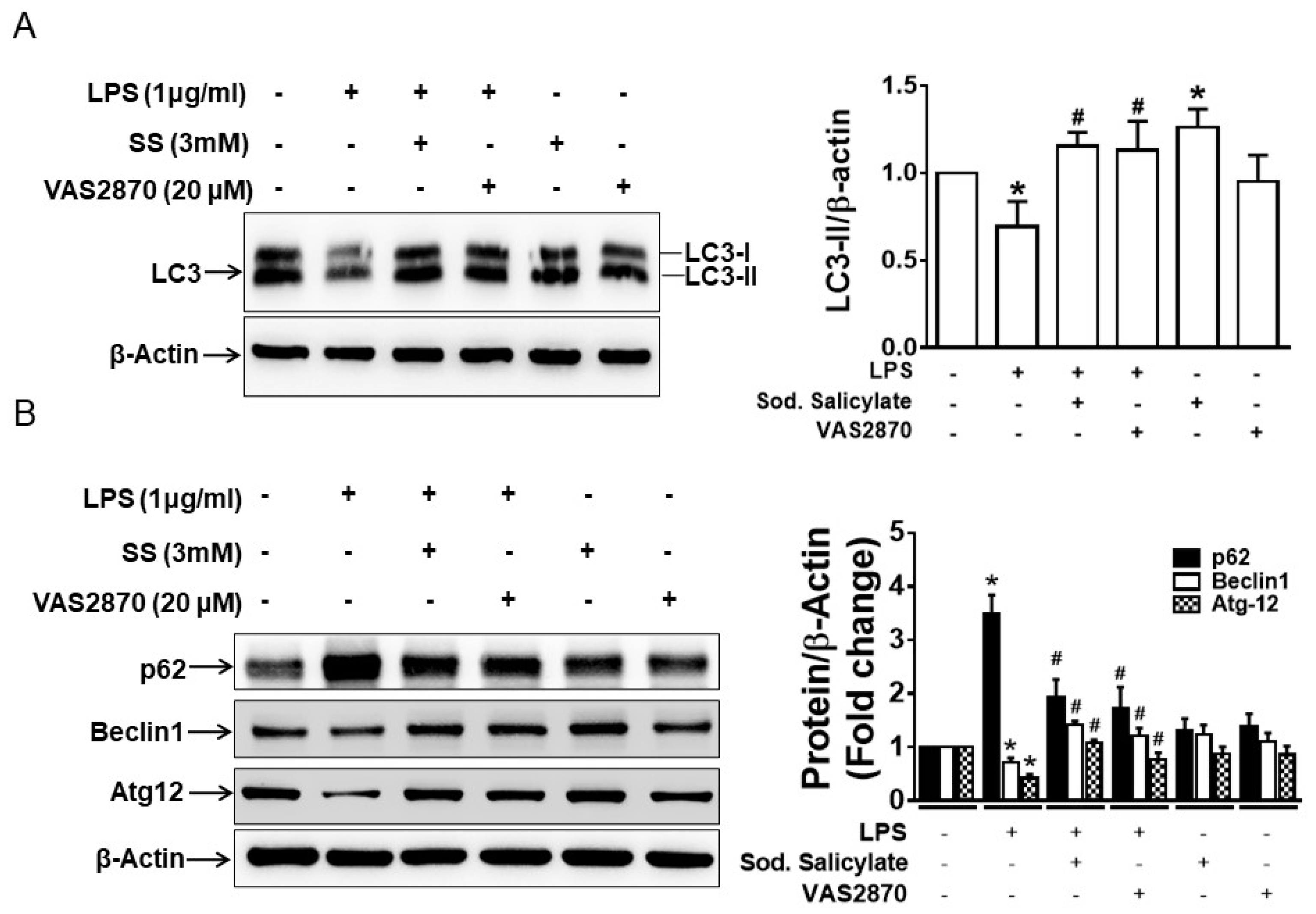 Biomedicines 11 01443 g004