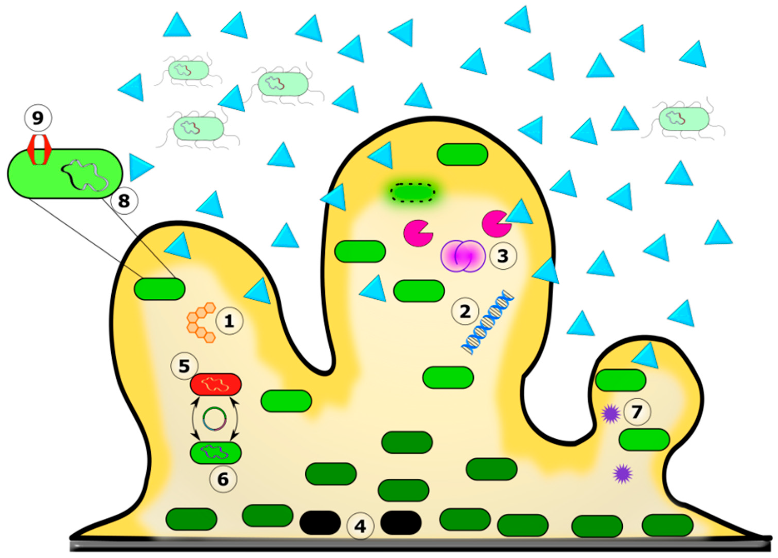 Biomedicines 11 01448 g003