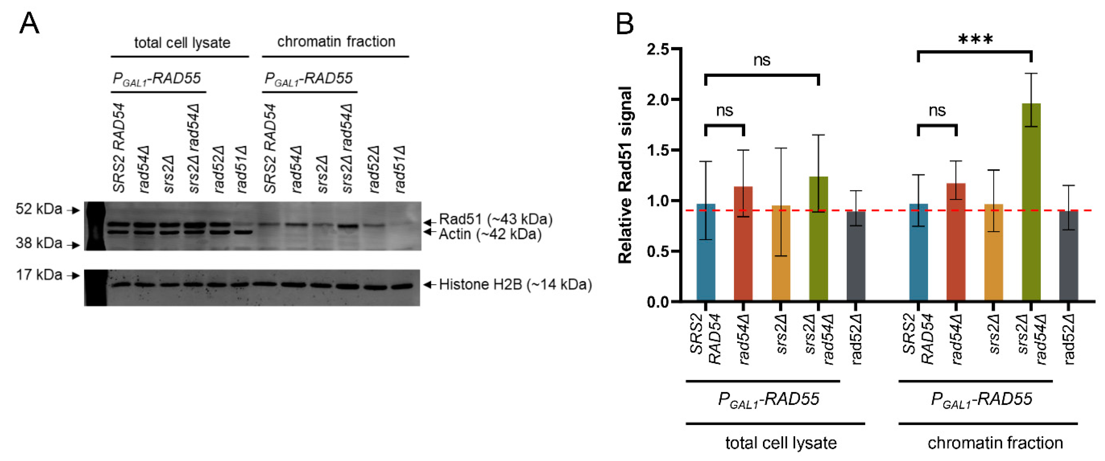 Biomedicines 11 01450 g002 Biomedicines 11 01450 g002