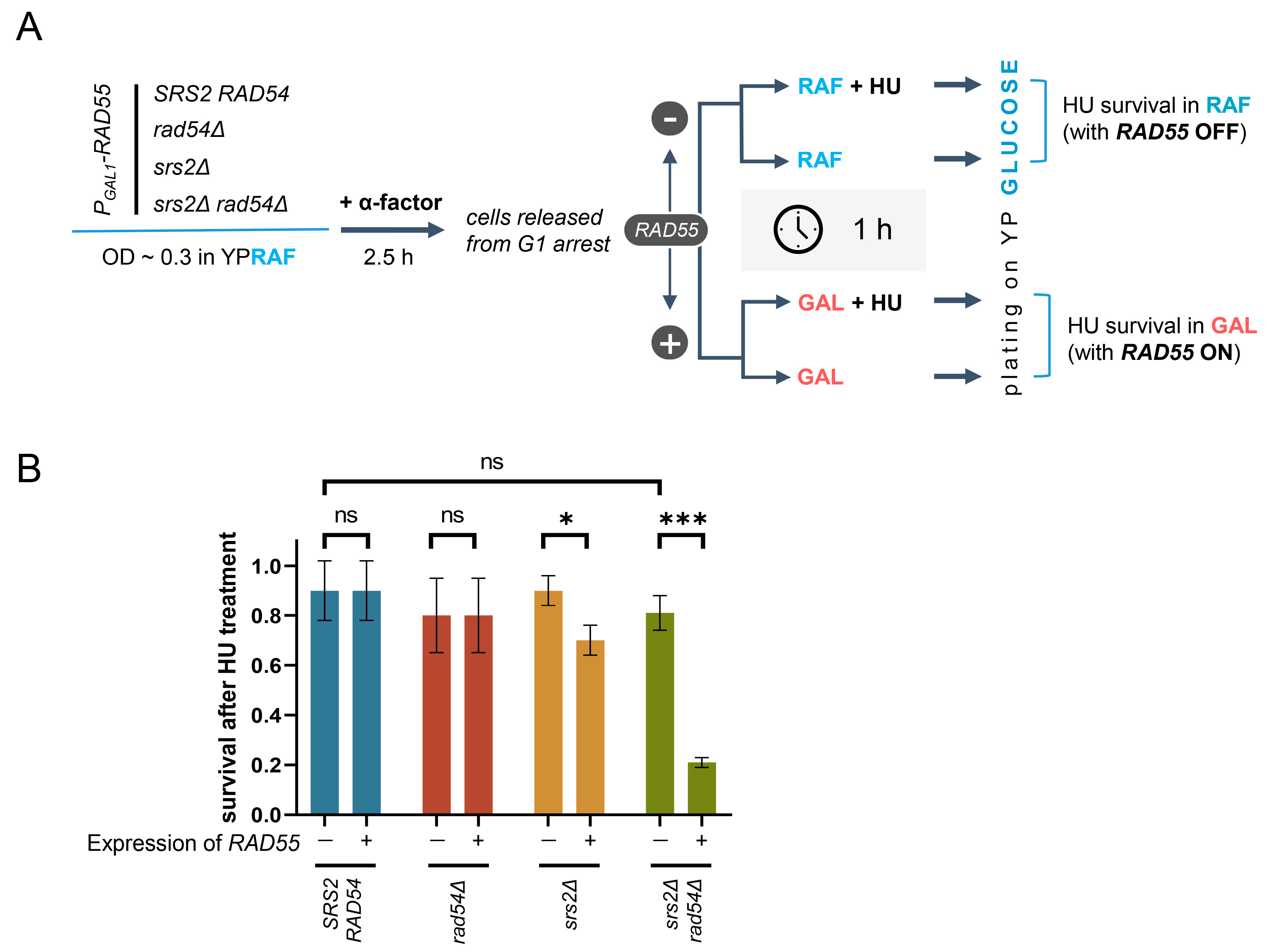 Biomedicines 11 01450 g004 Biomedicines 11 01450 g004