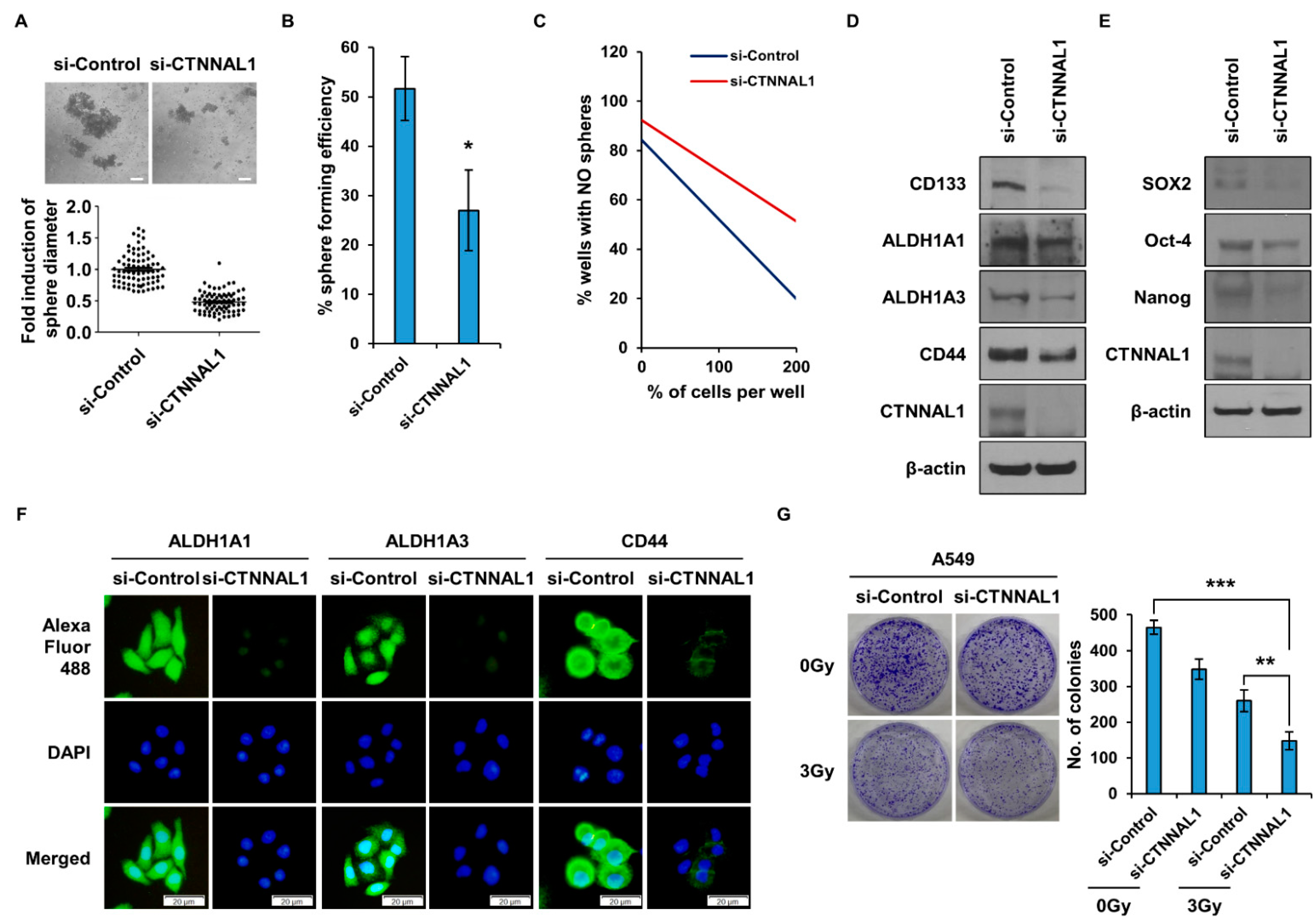 Biomedicines 11 01462 g002