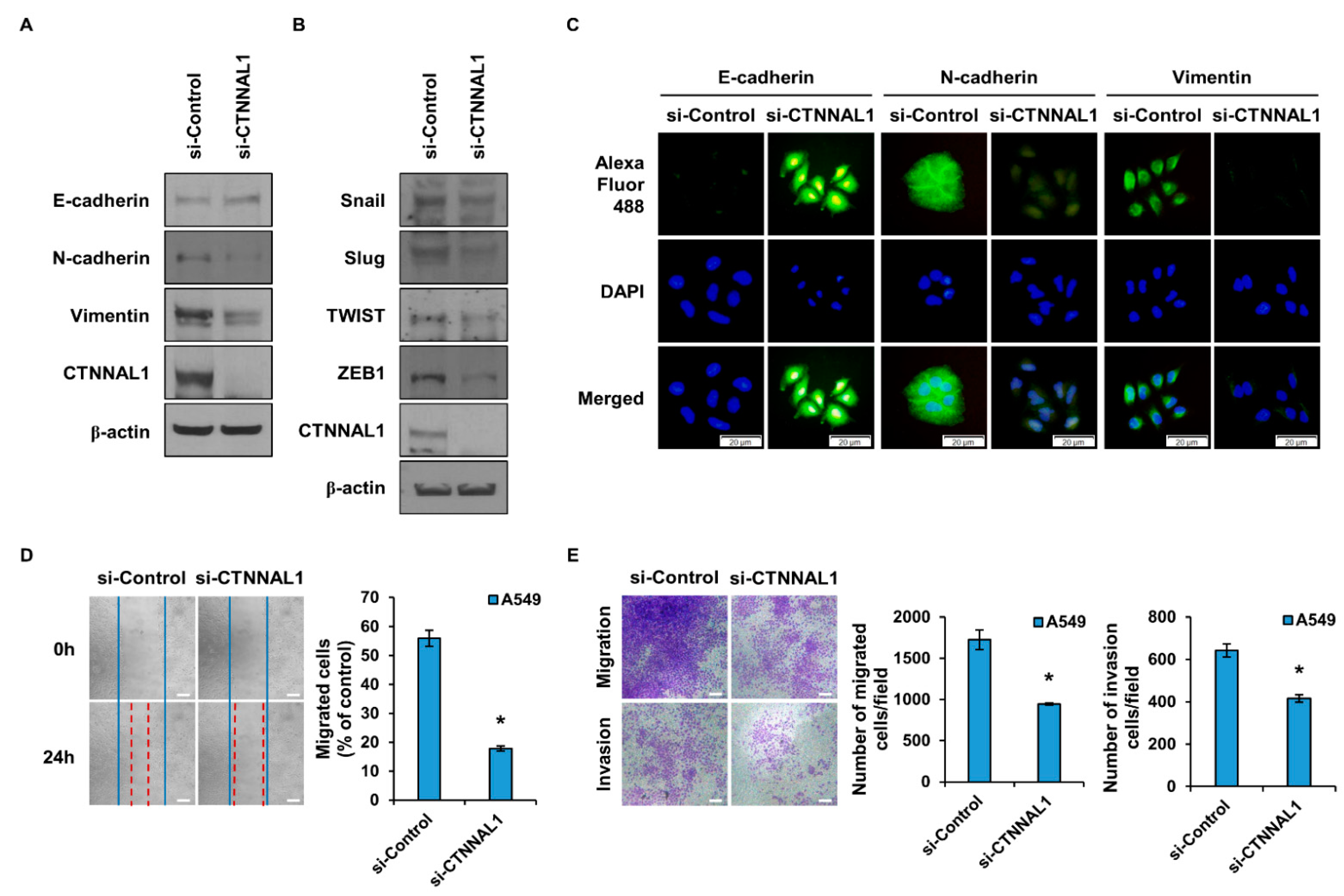 Biomedicines 11 01462 g003