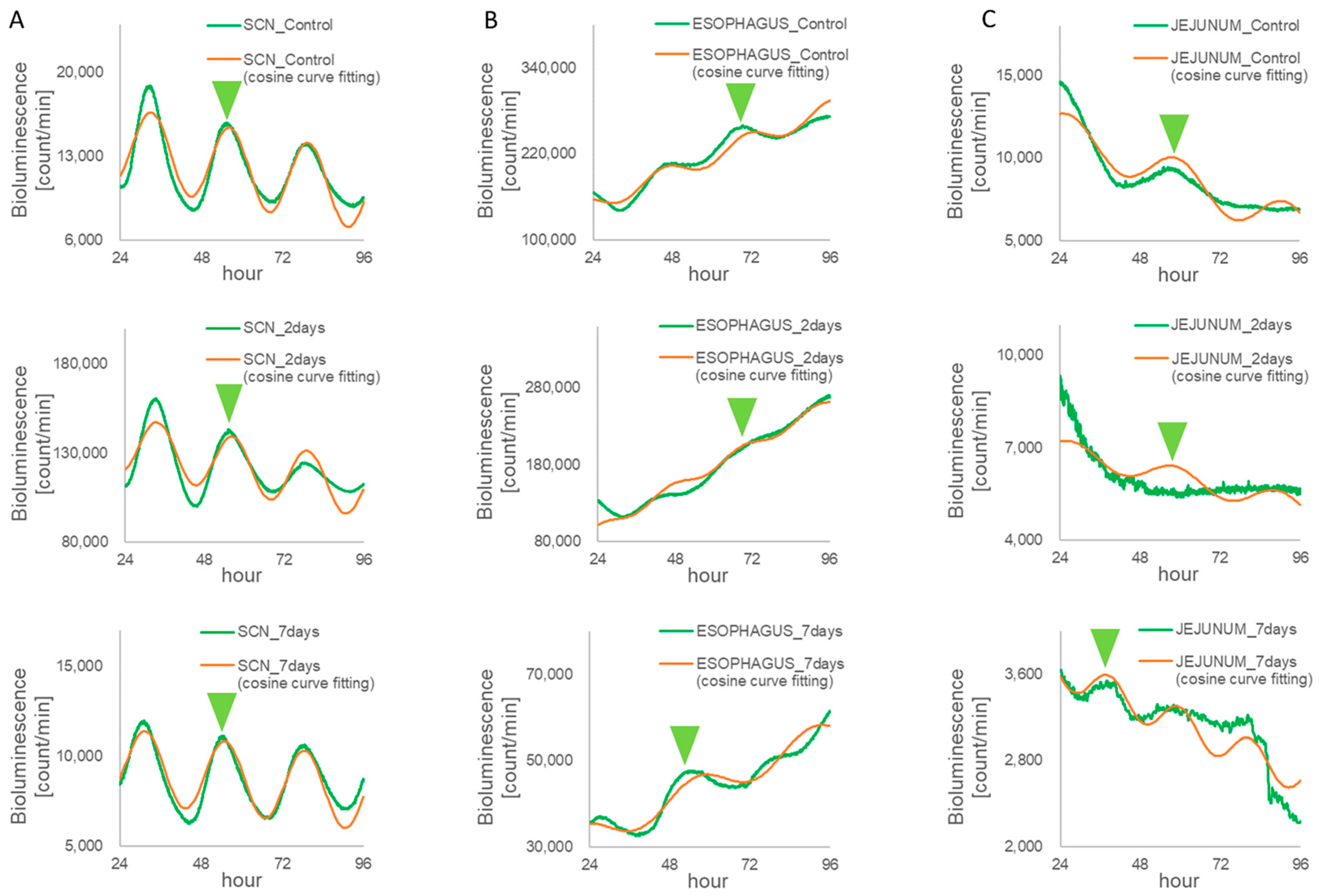 Biomedicines 11 01463 g004