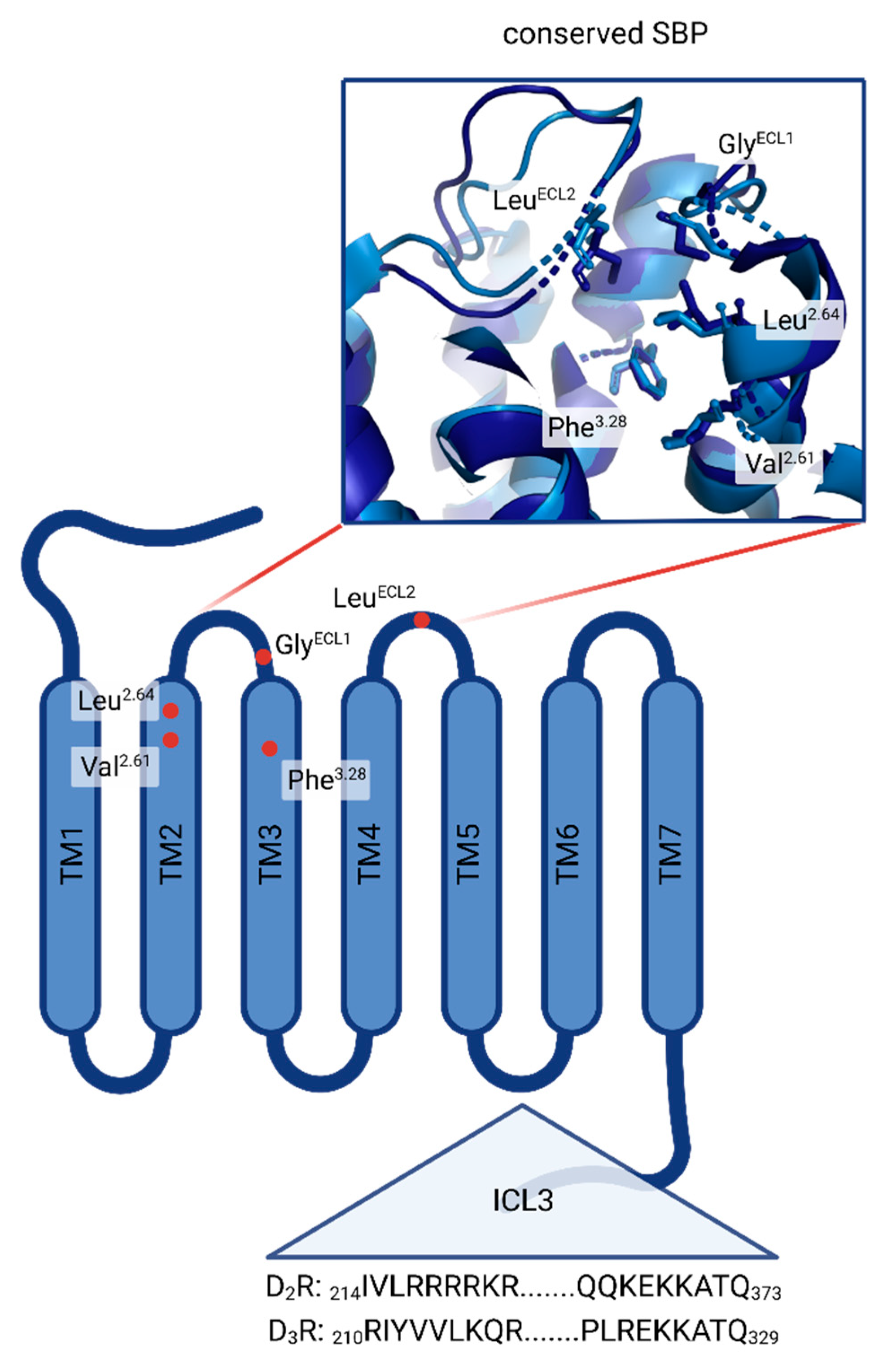 Biomedicines 11 01468 g001