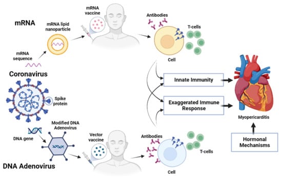 Biomedicines 11 01469 g001