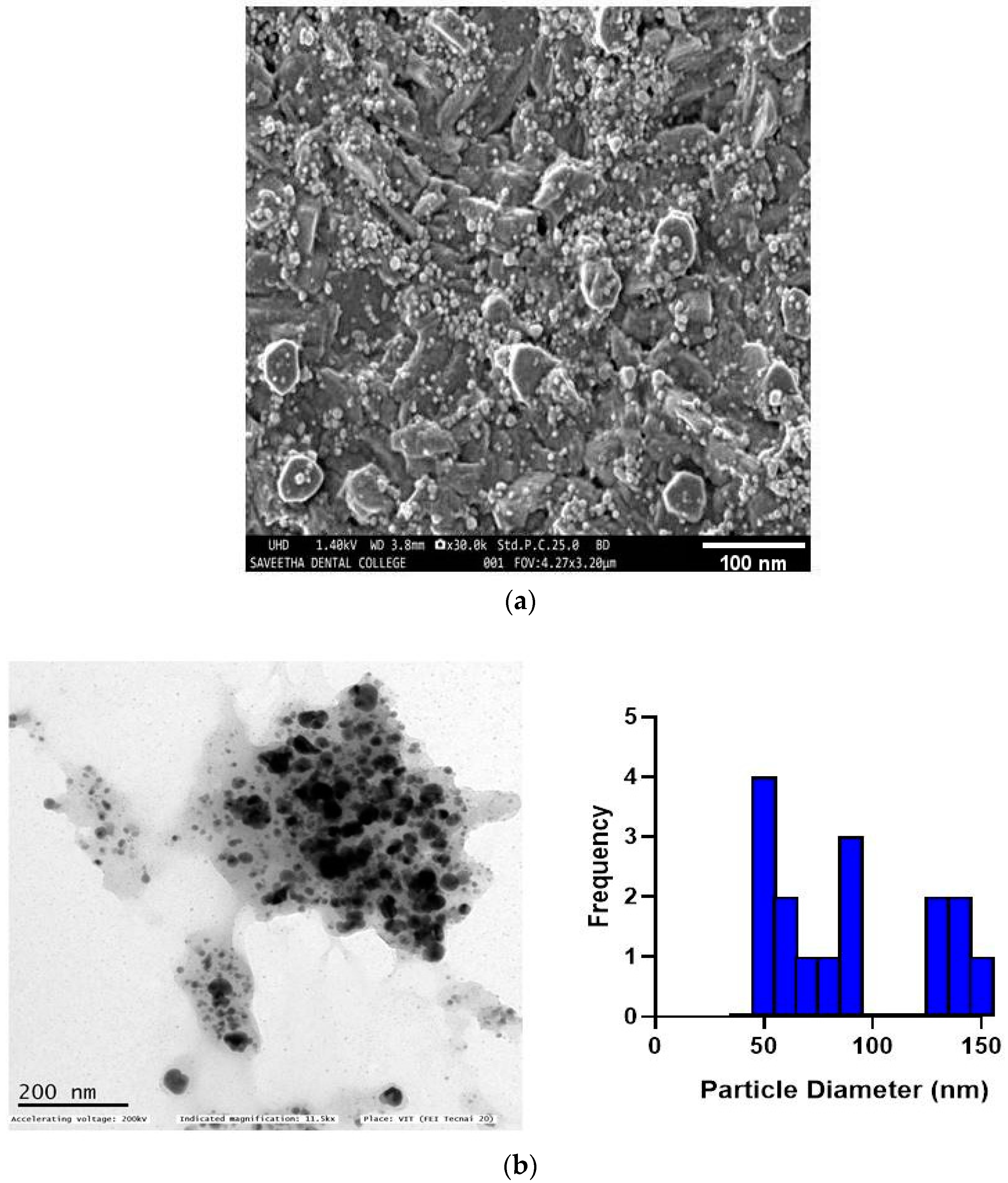 Biomedicines 11 01472 g003