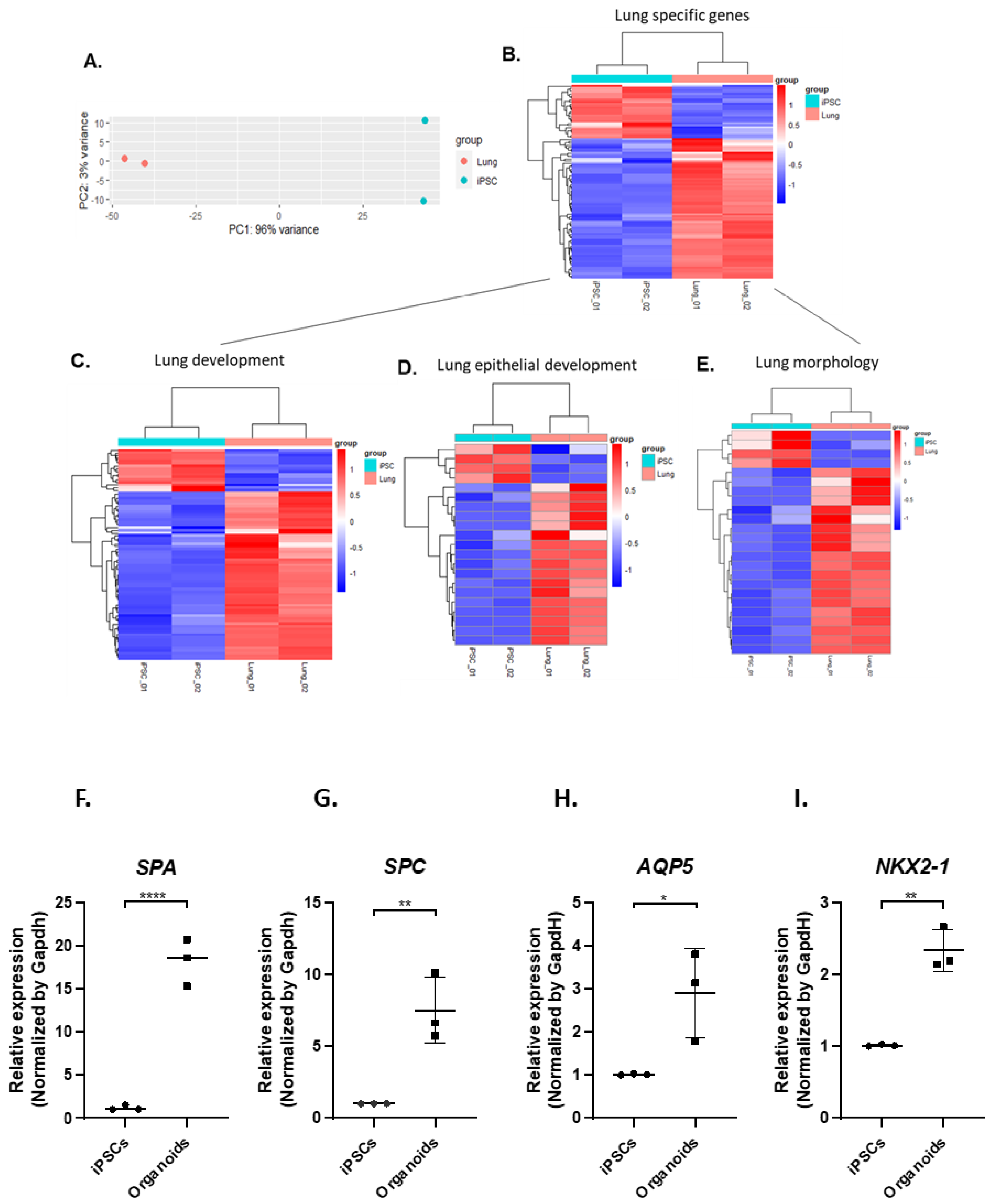 Biomedicines 11 01476 g003 Biomedicines 11 01476 g003