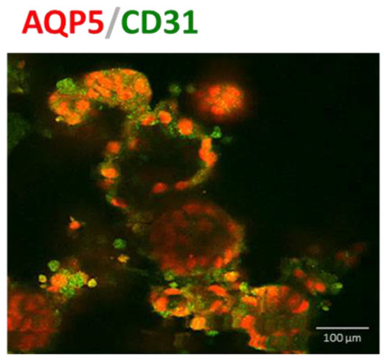 Biomedicines 11 01476 g0a3