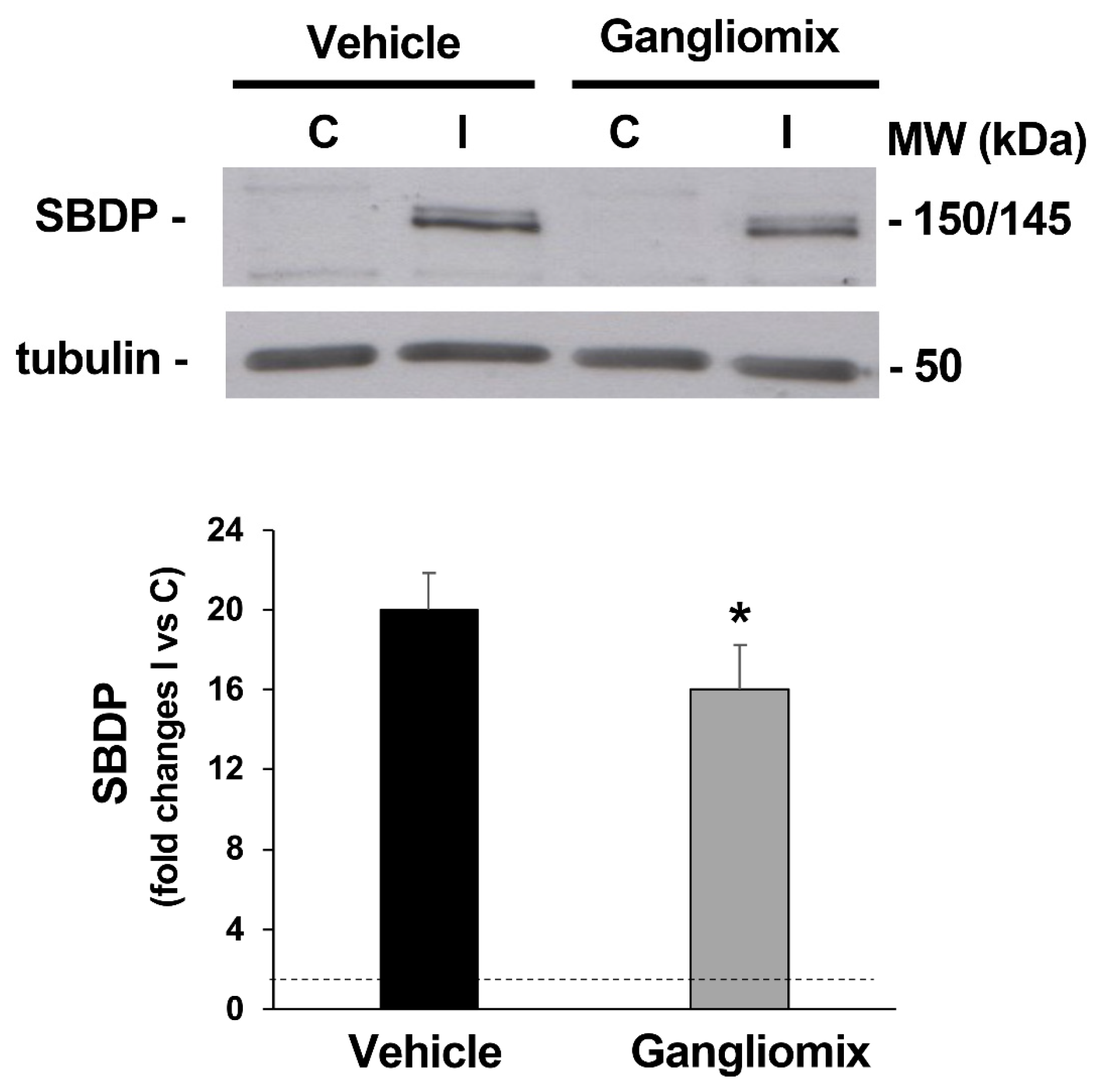 Biomedicines 11 01478 g005 Biomedicines 11 01478 g005