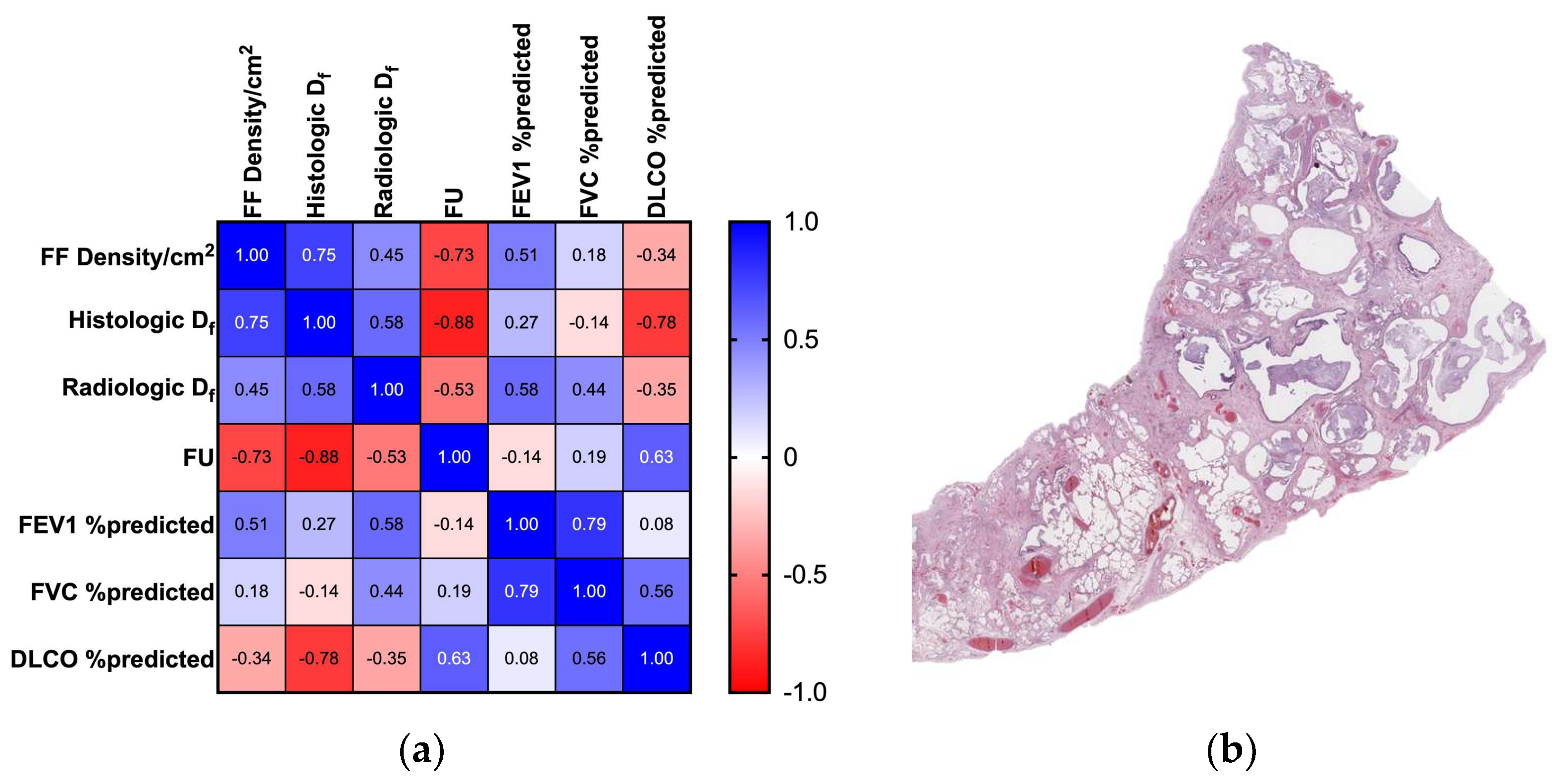 Biomedicines 11 01483 g001
