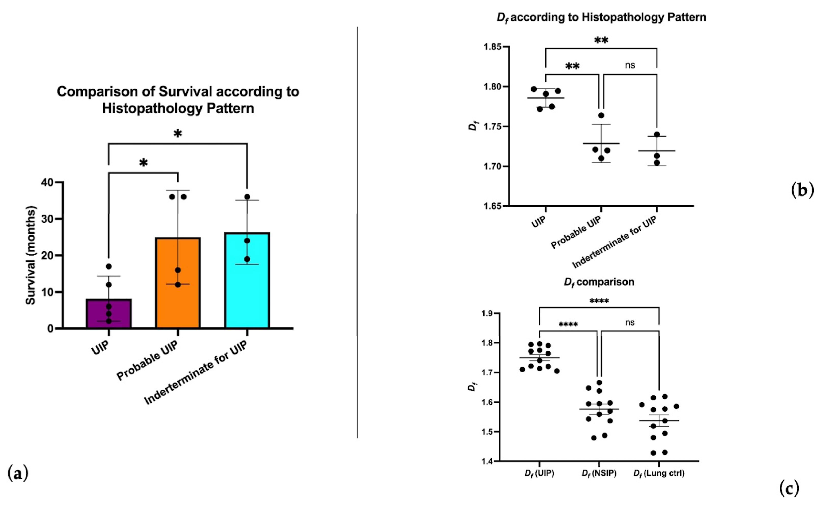 Biomedicines 11 01483 g002