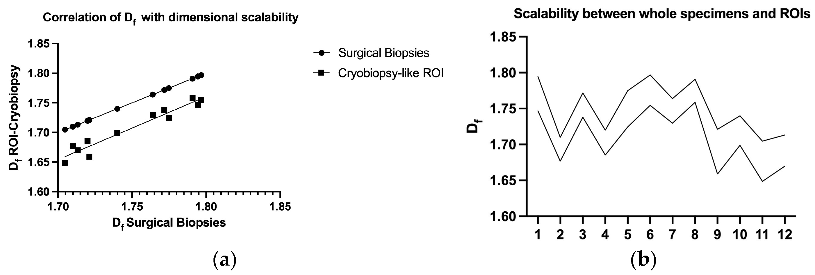 Biomedicines 11 01483 g005