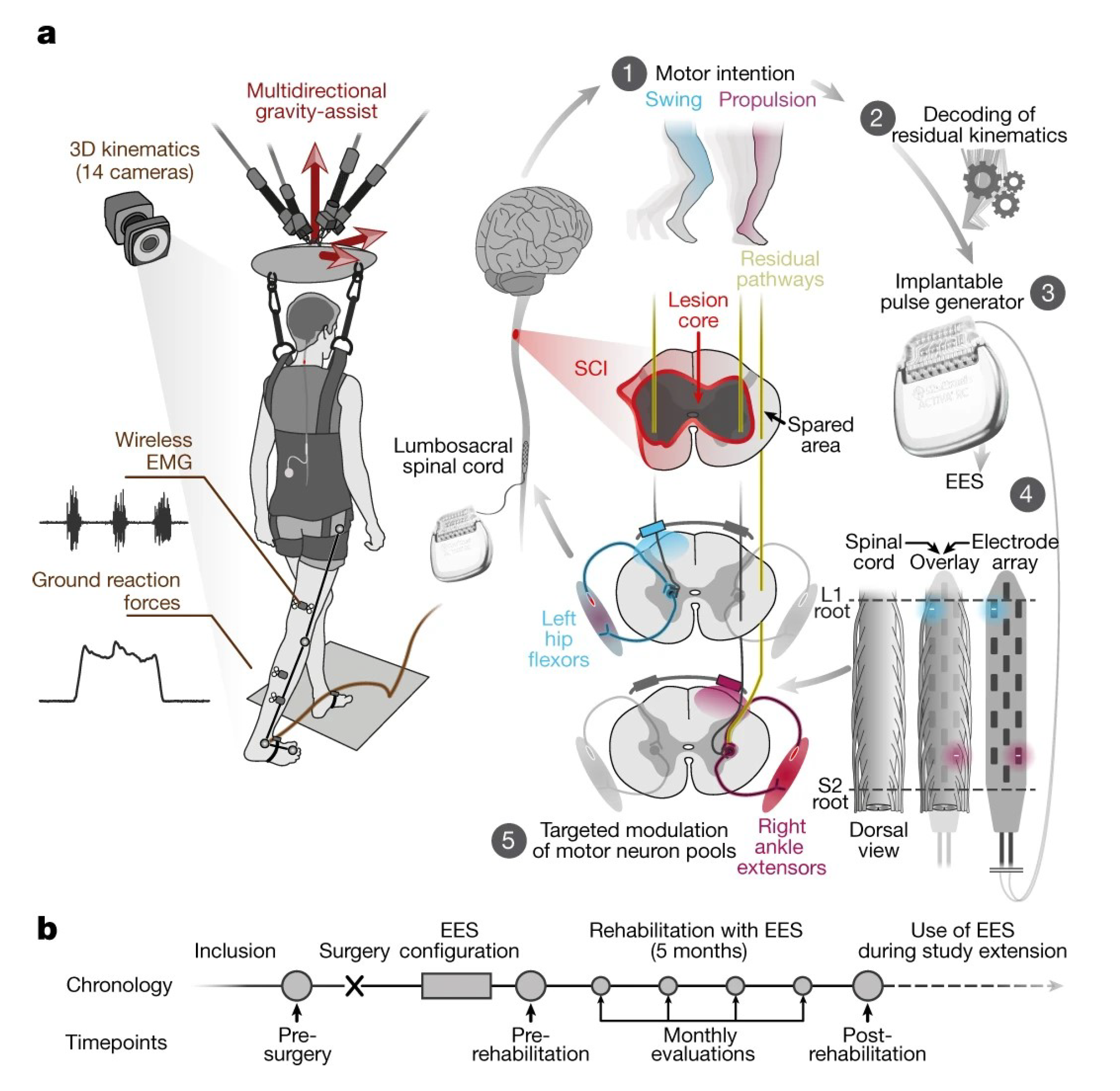 Biomedicines 11 01513 g002