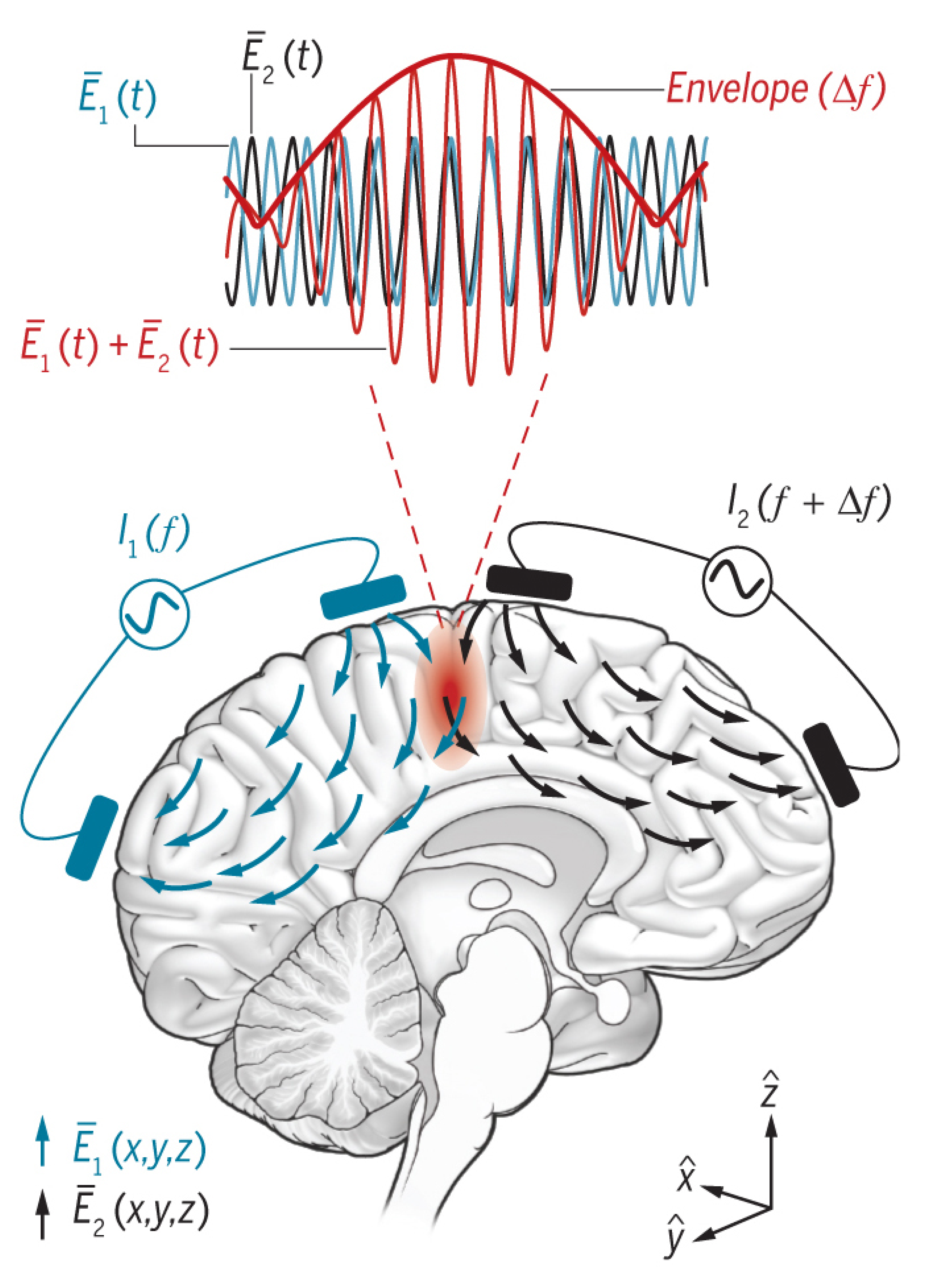 Biomedicines 11 01513 g003