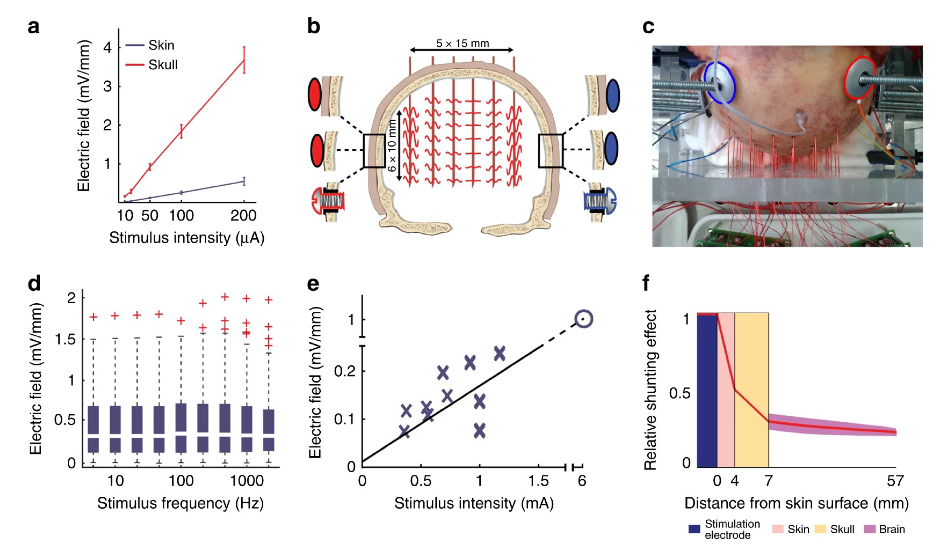 Biomedicines 11 01513 g005