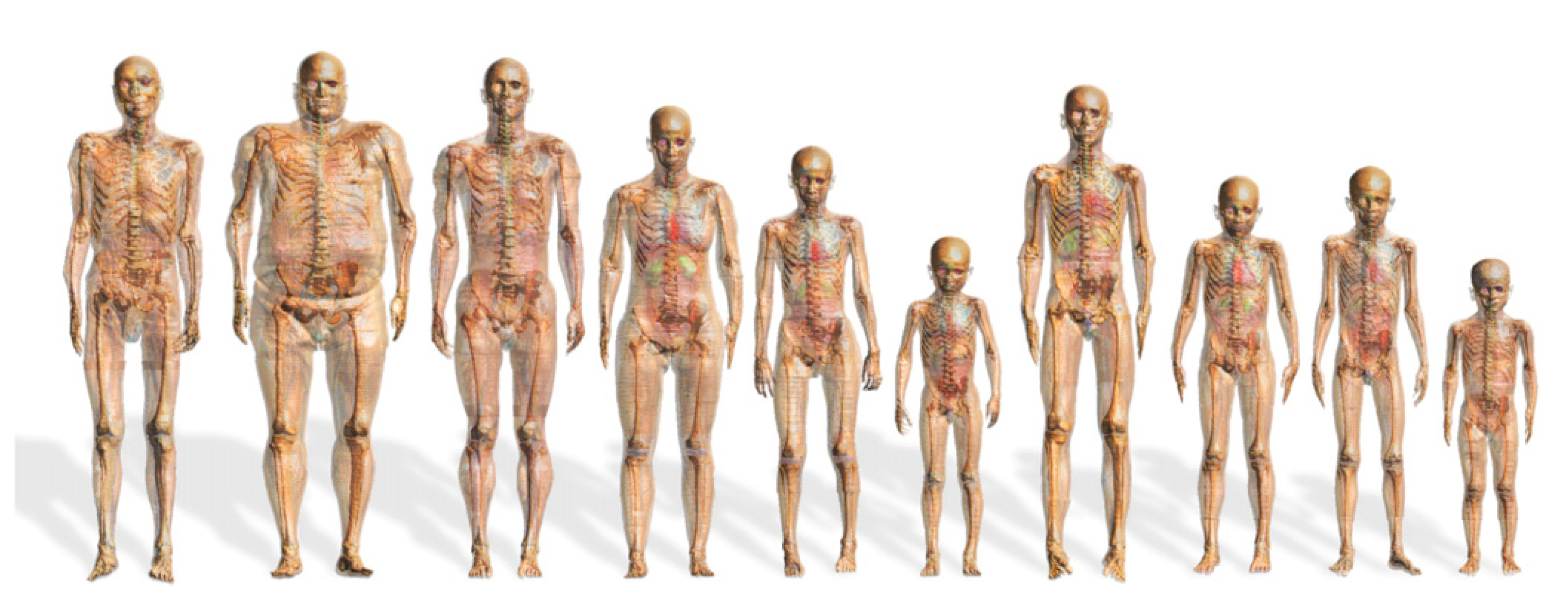 Biomedicines 11 01513 g007