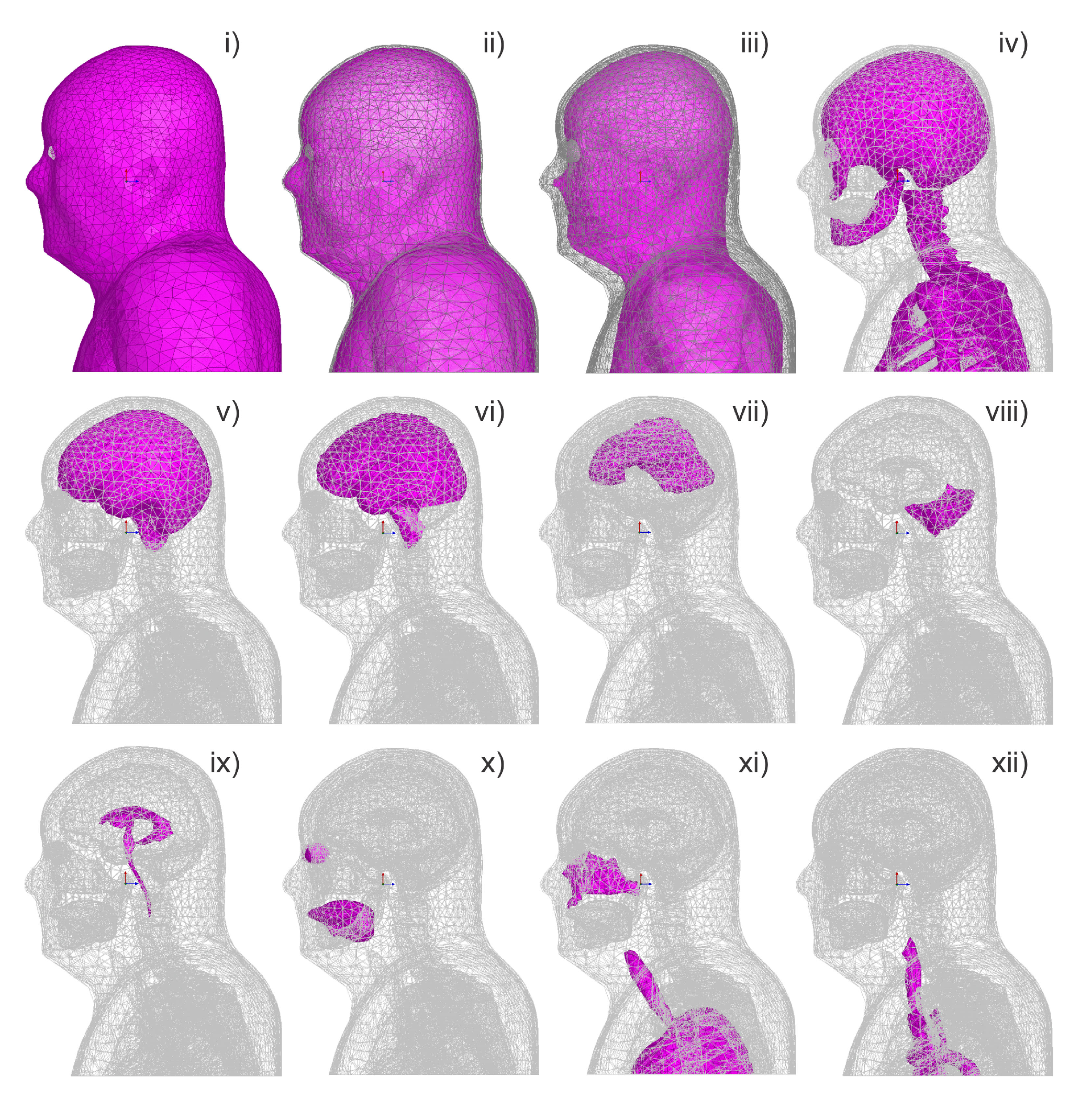 Biomedicines 11 01513 g009
