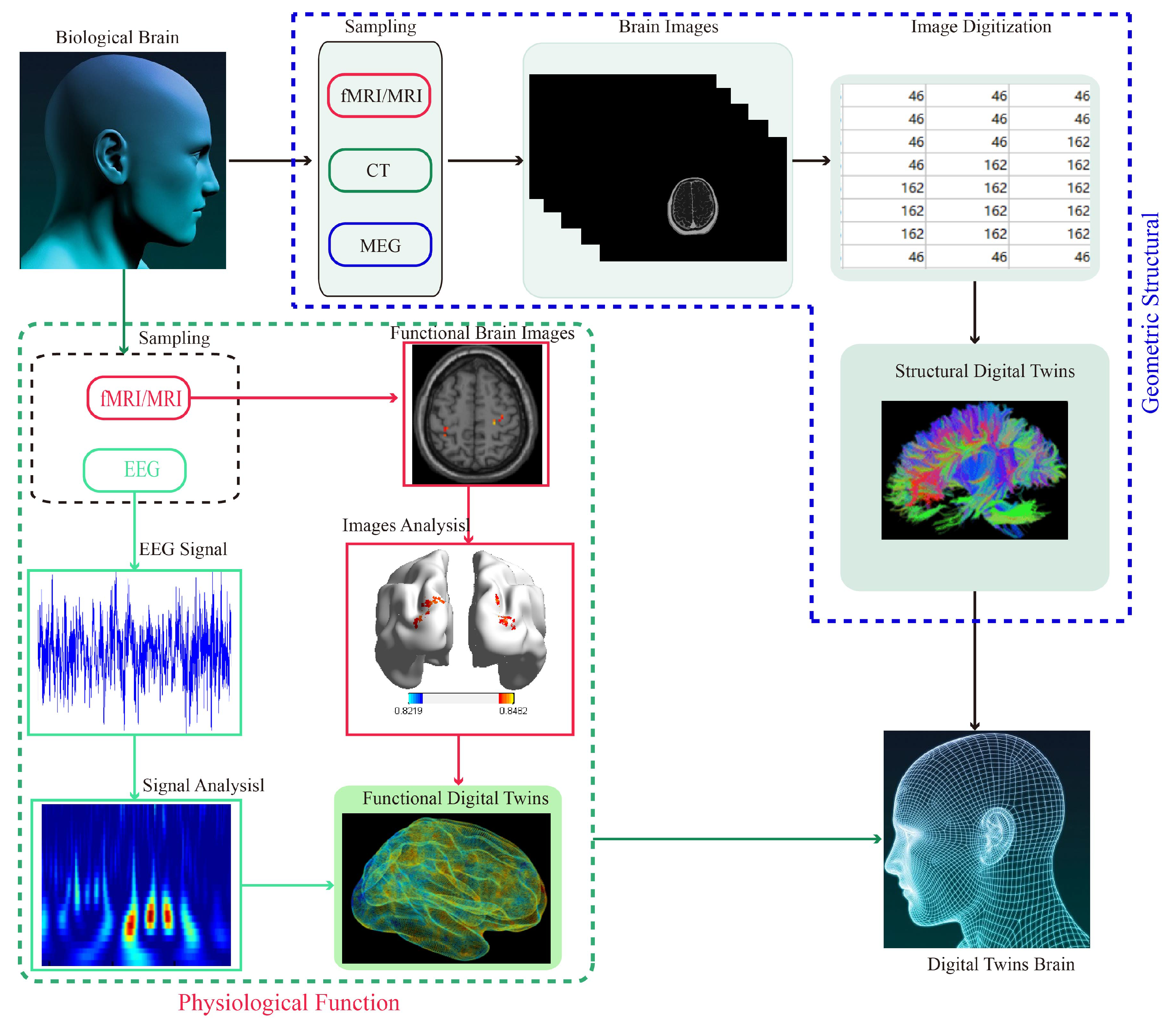 Biomedicines 11 01513 g012