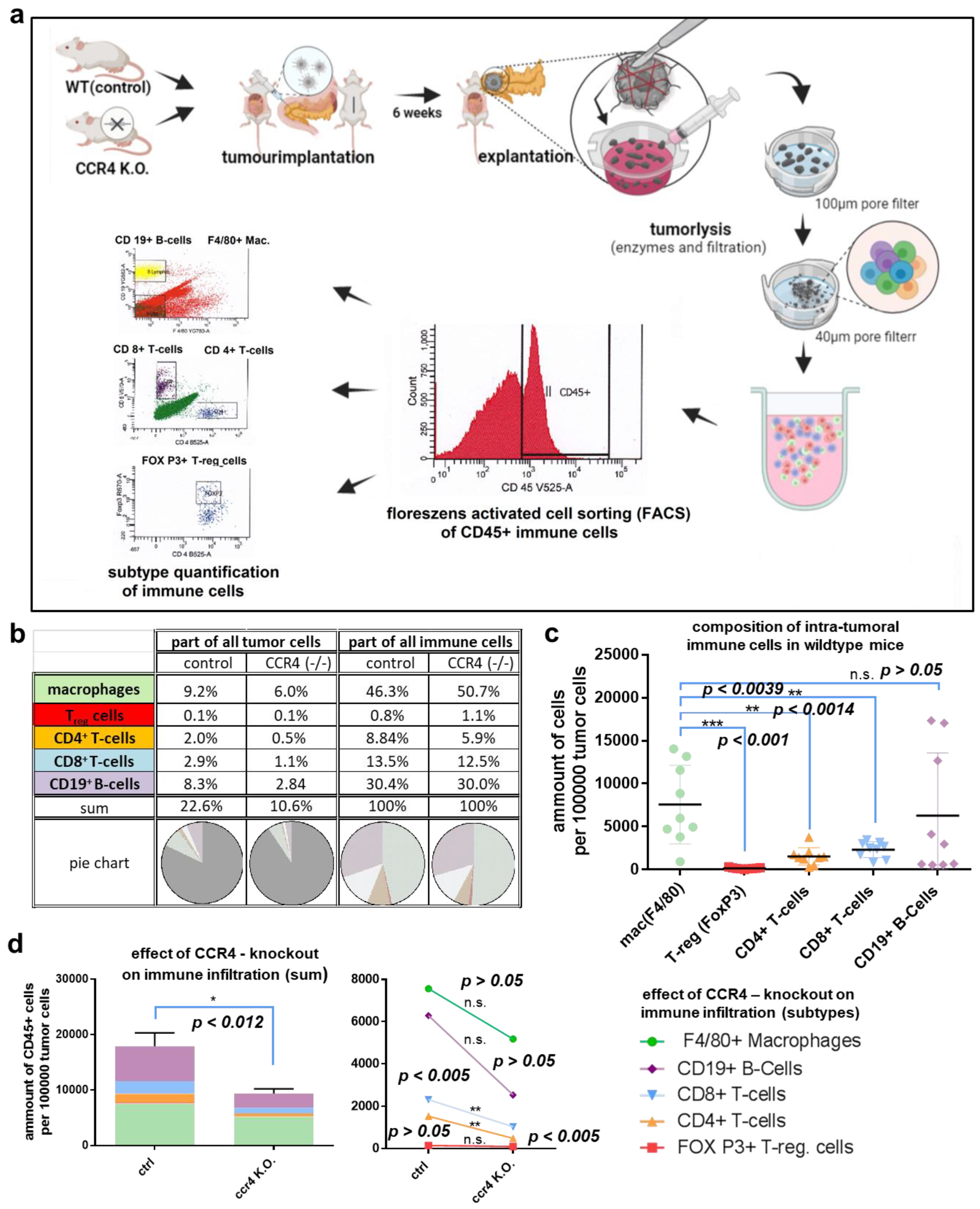 Biomedicines 11 01517 g003
