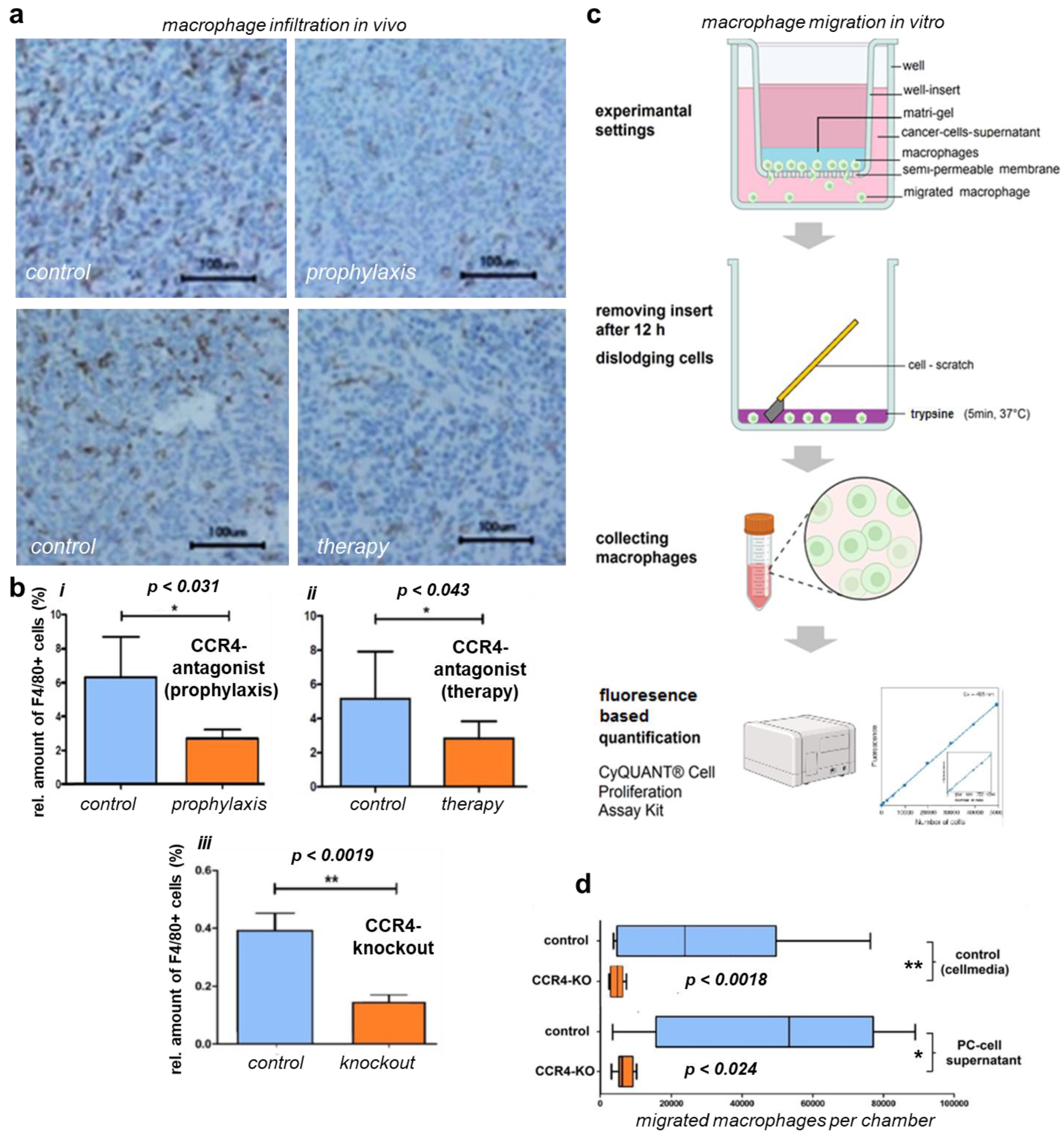 Biomedicines 11 01517 g004
