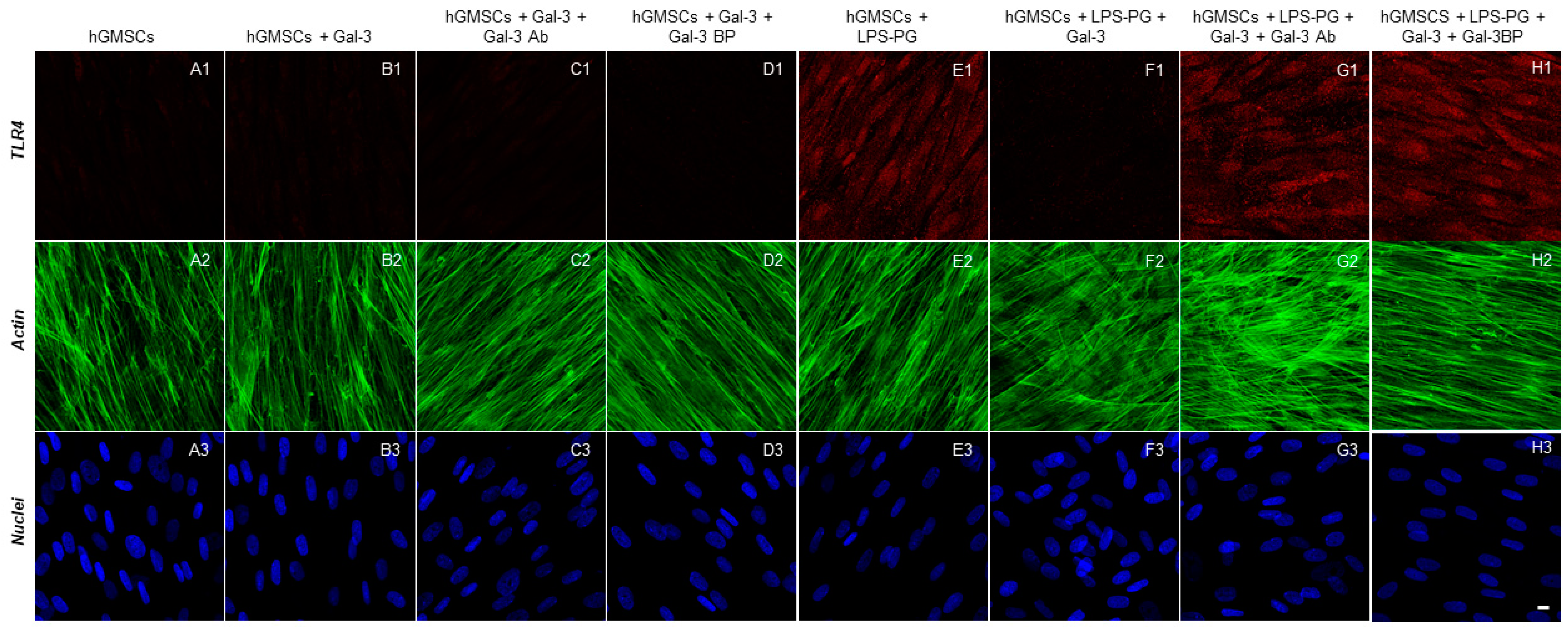 Biomedicines 11 01519 g002
