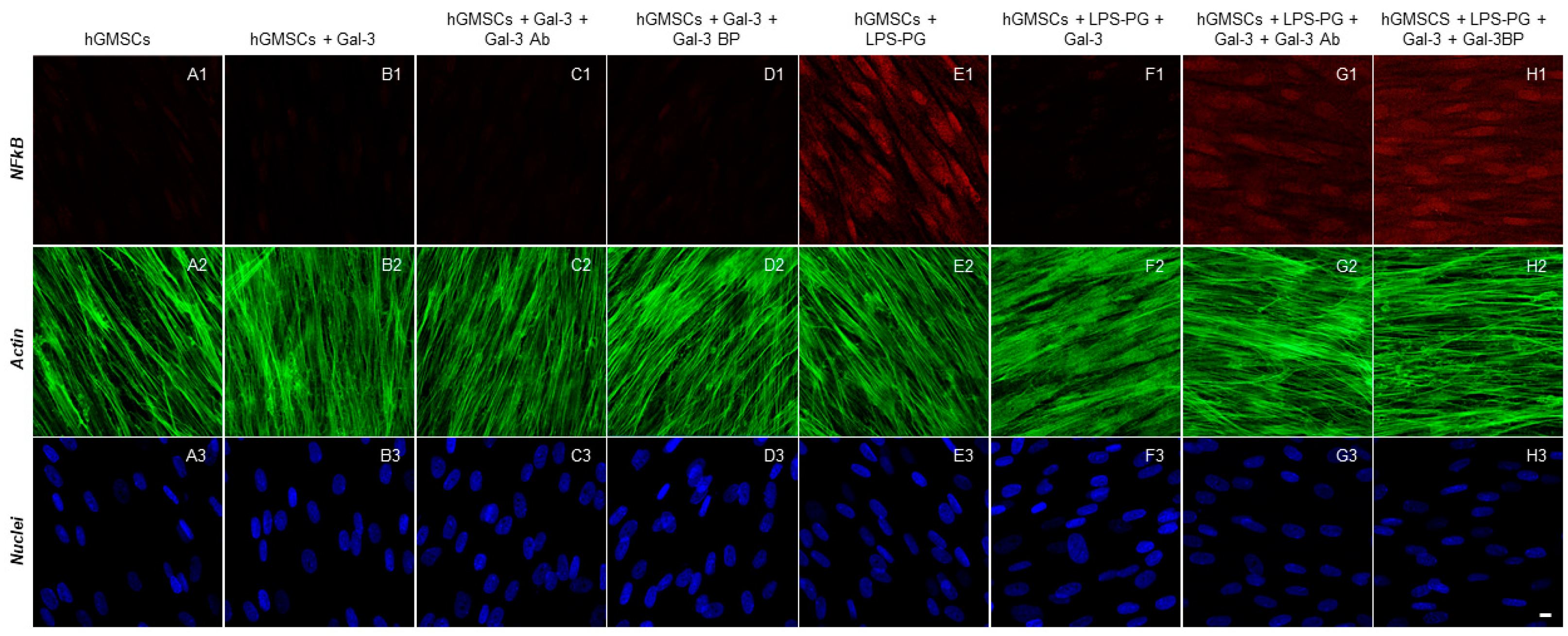 Biomedicines 11 01519 g003