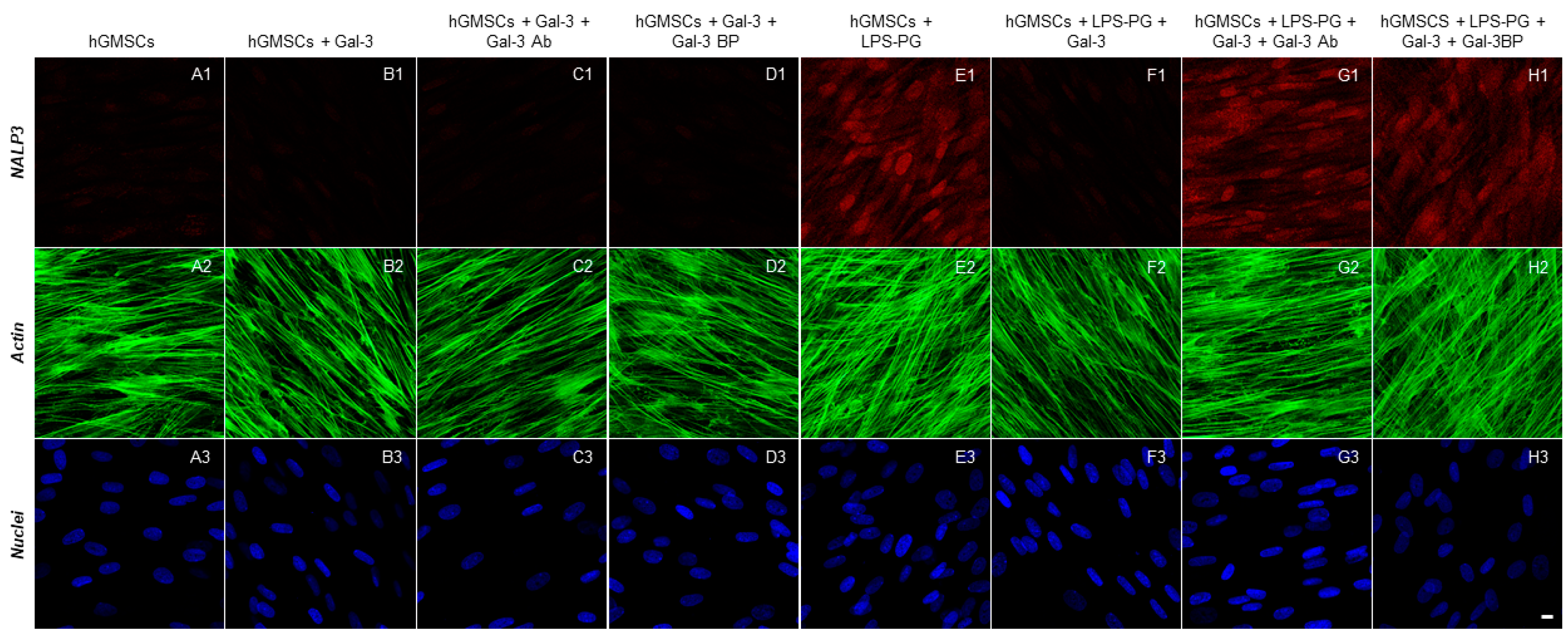 Biomedicines 11 01519 g005
