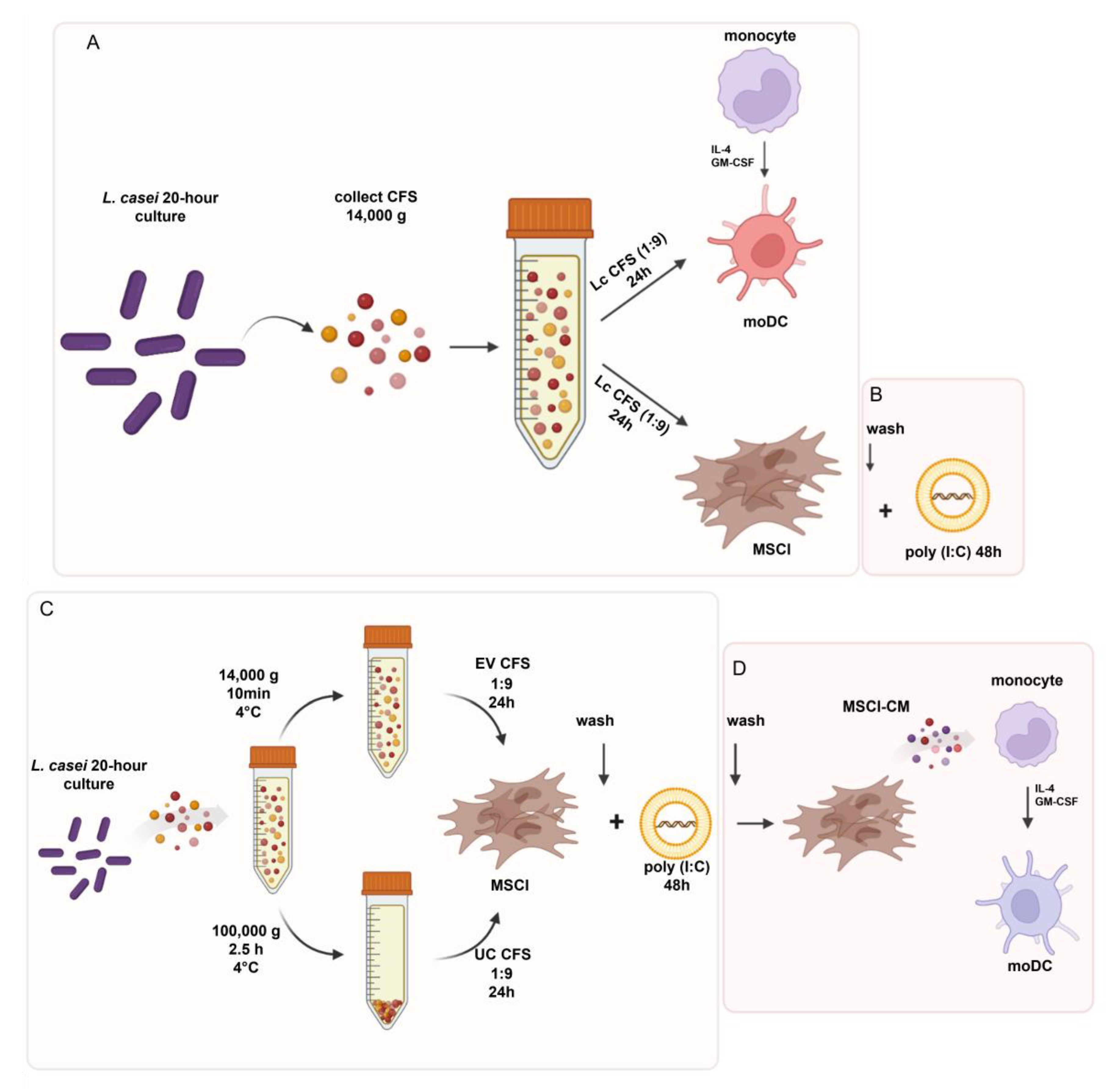 Biomedicines 11 01521 g001
