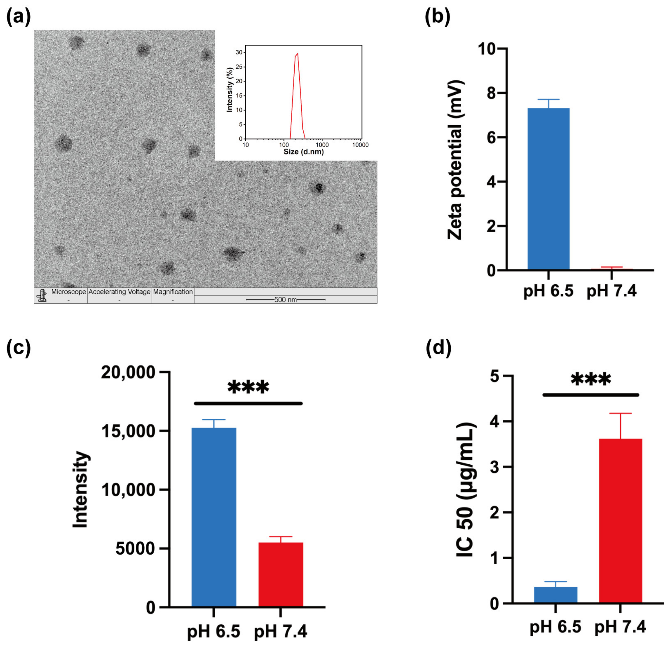 Biomedicines 11 01524 g001 Biomedicines 11 01524 g001