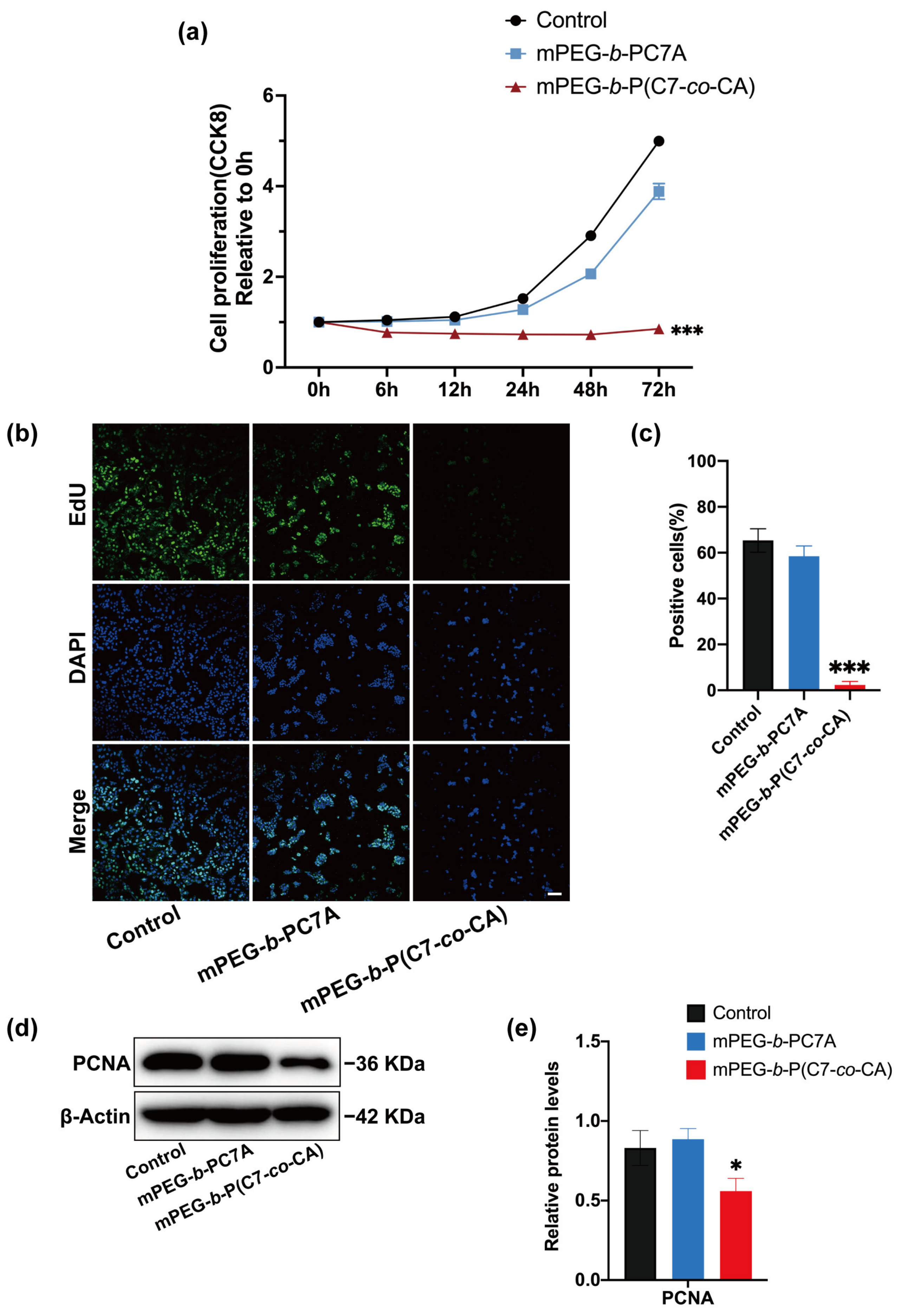 Biomedicines 11 01524 g002 Biomedicines 11 01524 g002