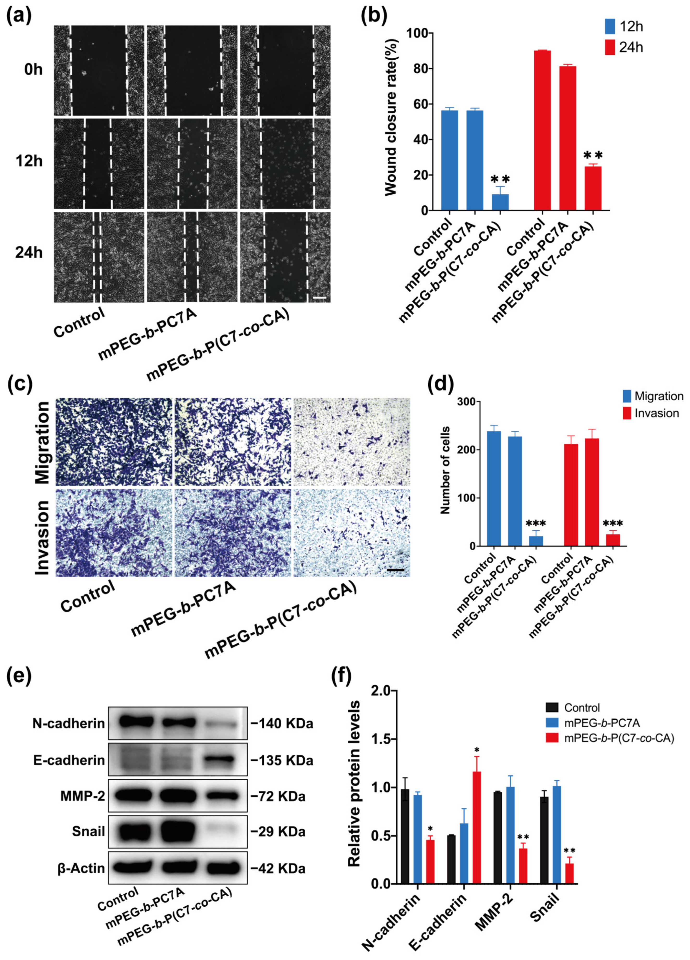 Biomedicines 11 01524 g004 Biomedicines 11 01524 g004