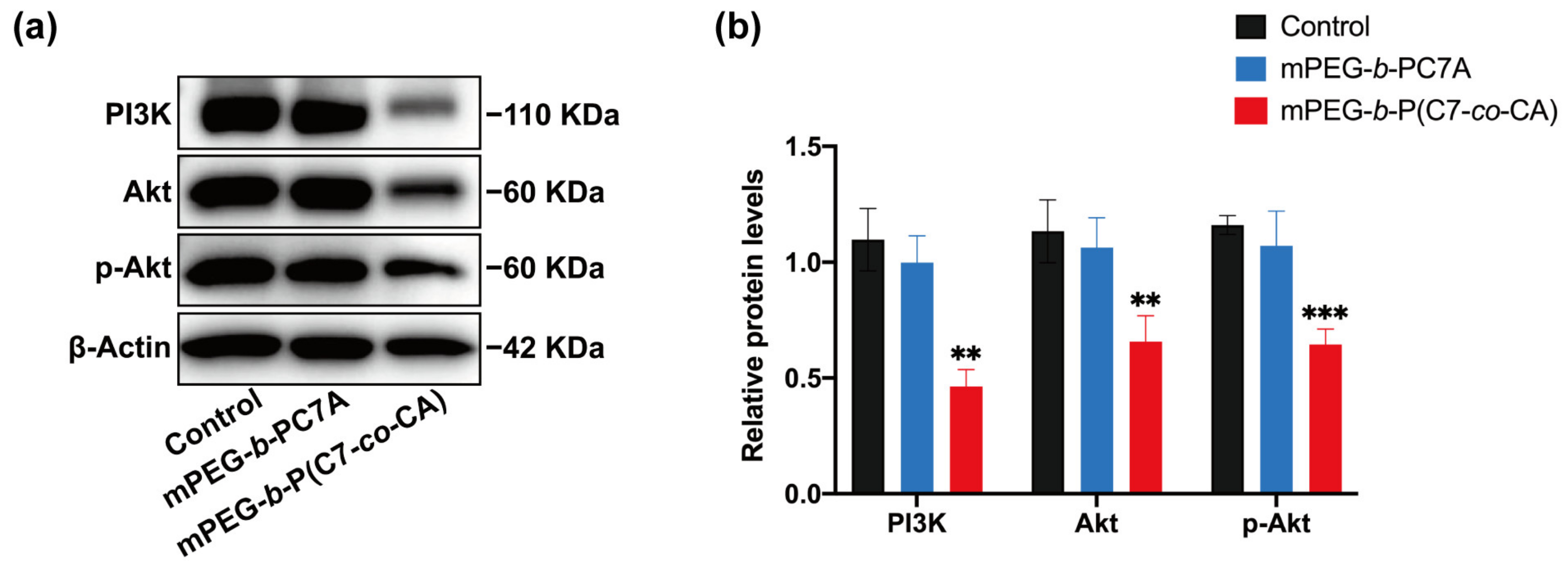 Biomedicines 11 01524 g005 Biomedicines 11 01524 g005