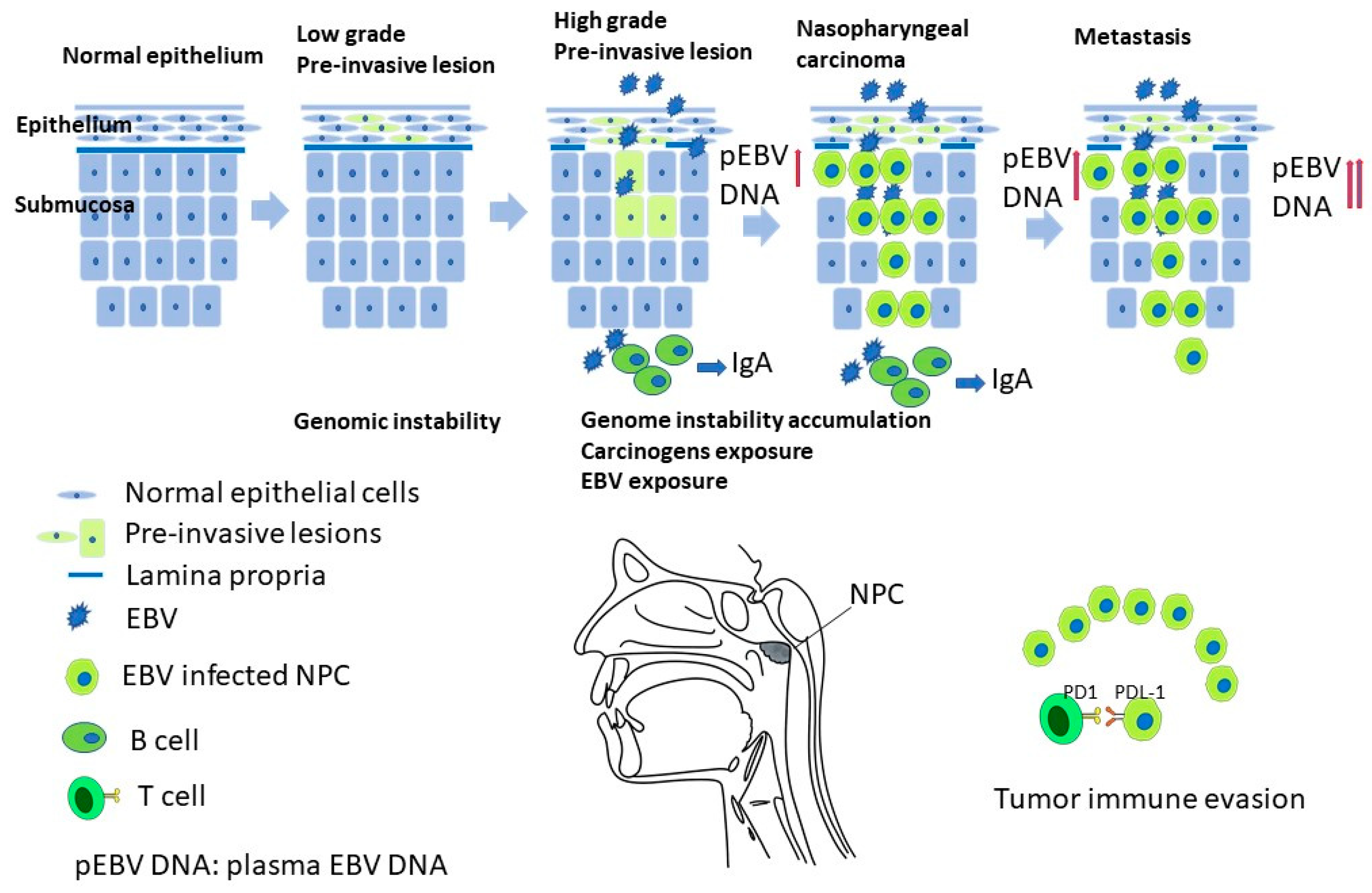 Biomedicines 11 01528 g001