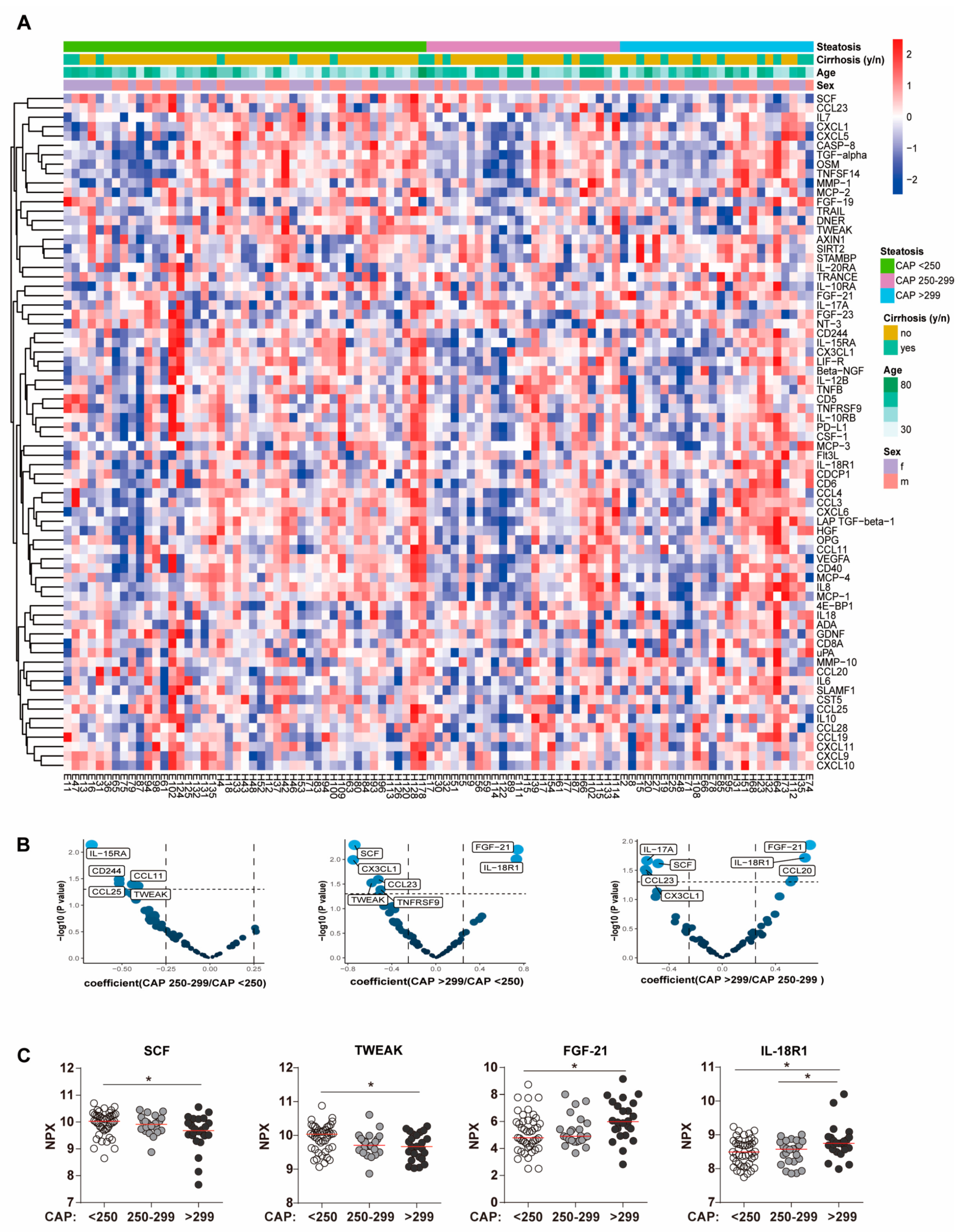 Biomedicines 11 01529 g002 Biomedicines 11 01529 g002