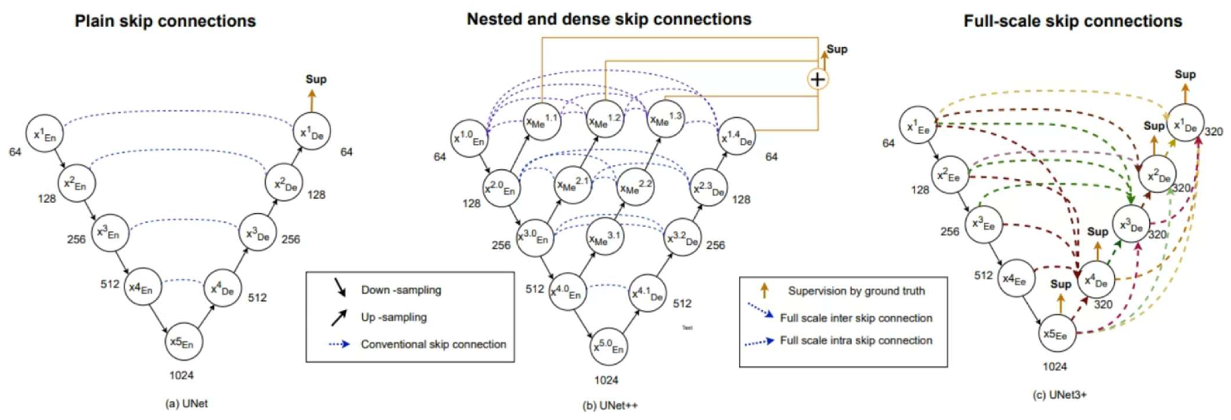 Biomedicines 11 01536 g002
