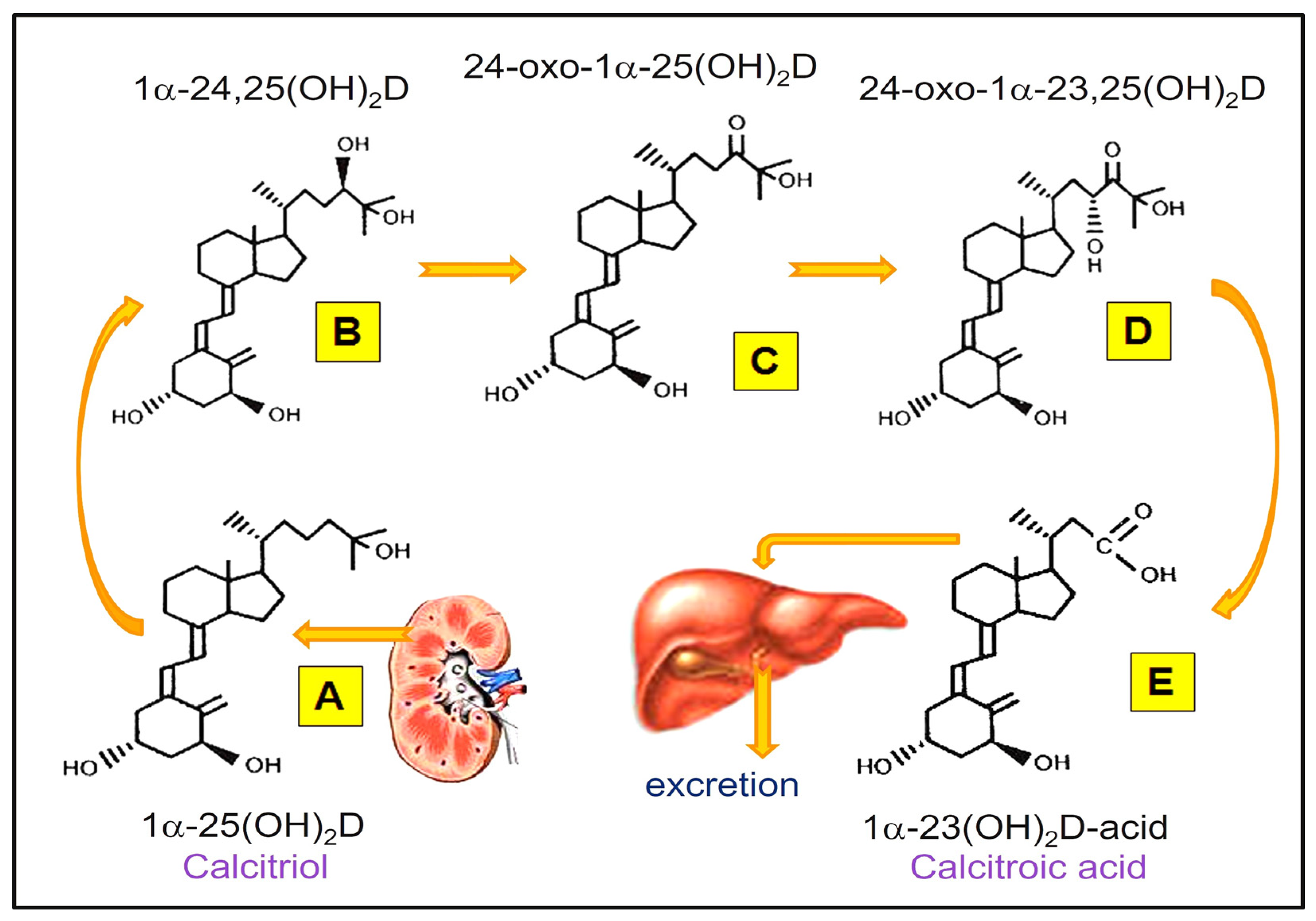 Biomedicines 11 01542 g002