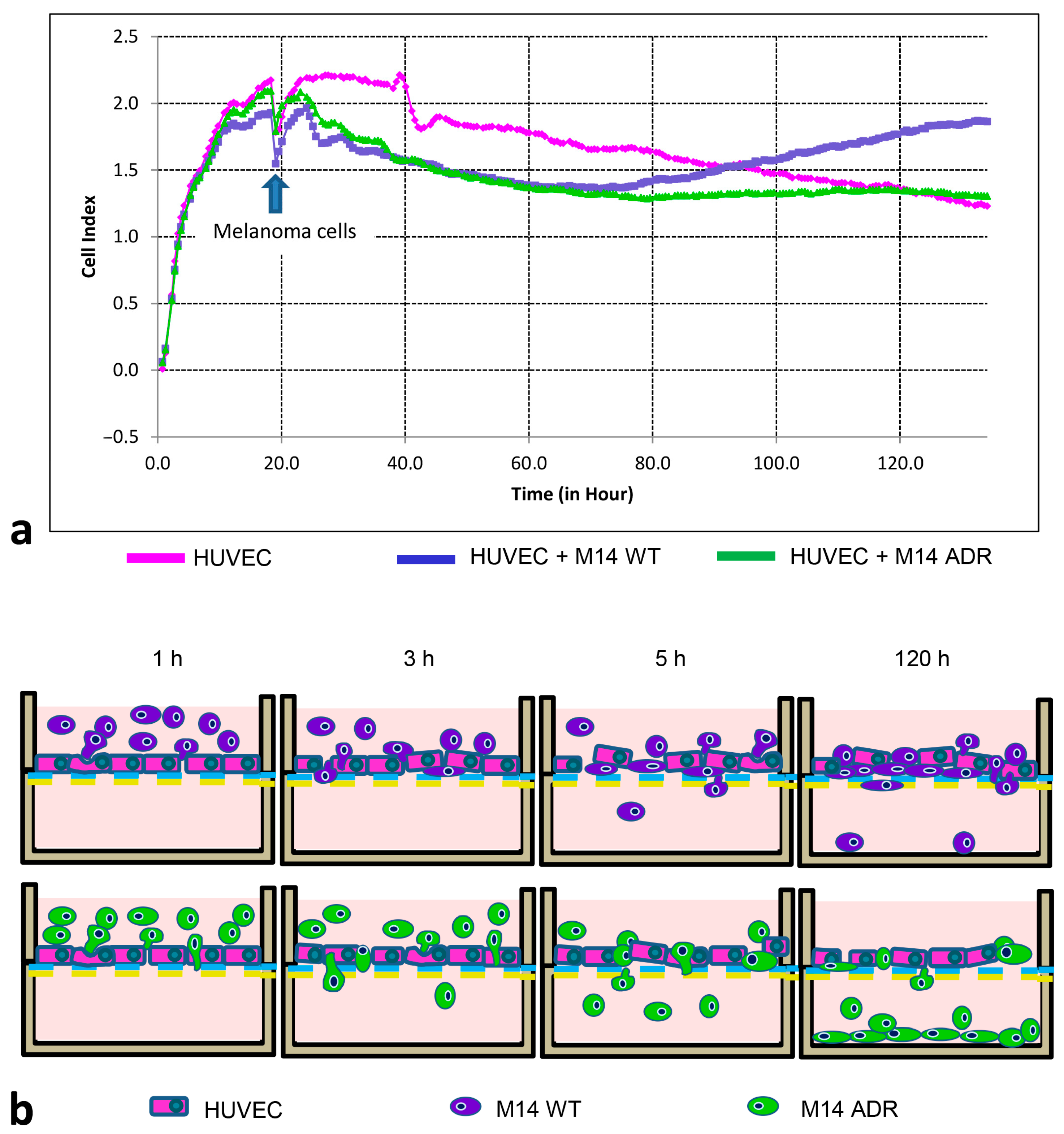 Biomedicines 11 01544 g014
