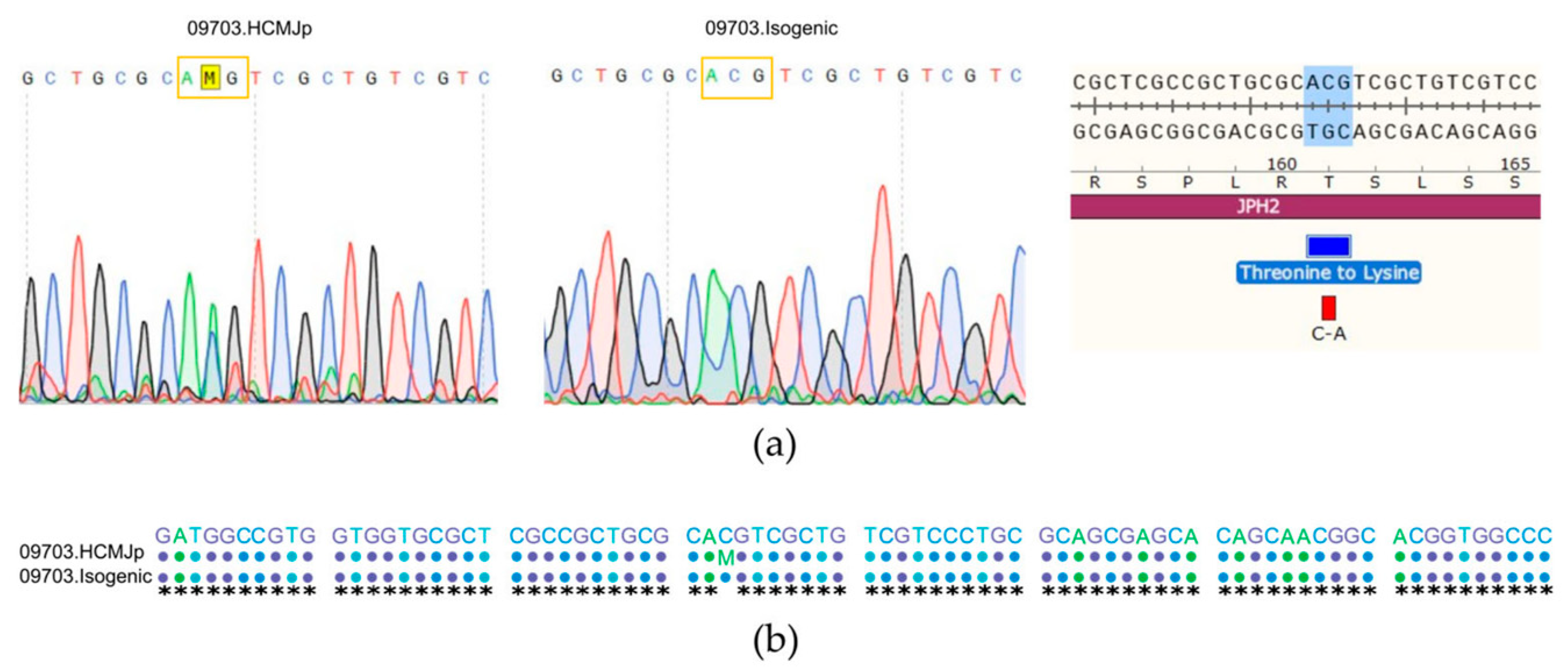 Biomedicines 11 01558 g003