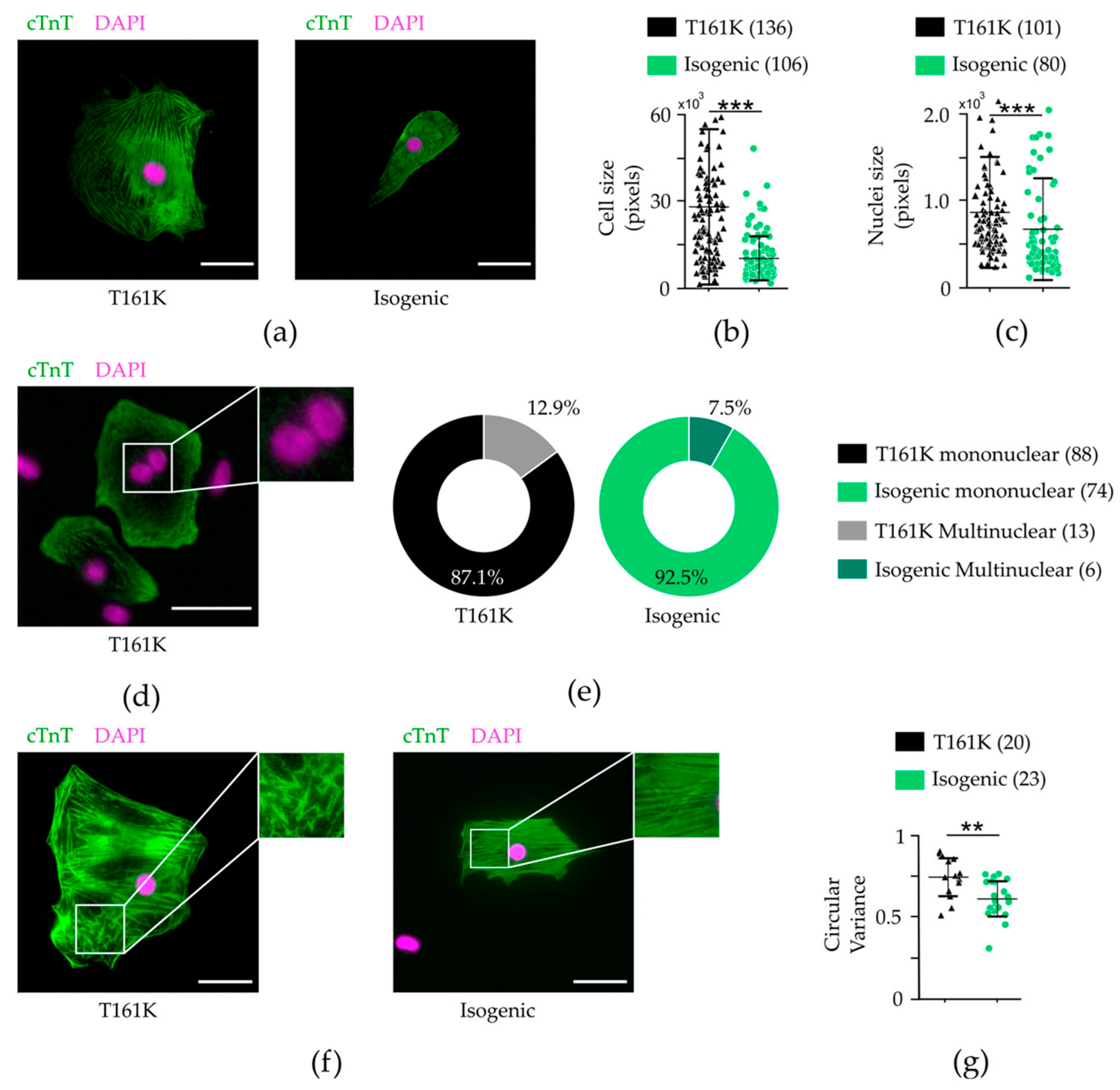 Biomedicines 11 01558 g004