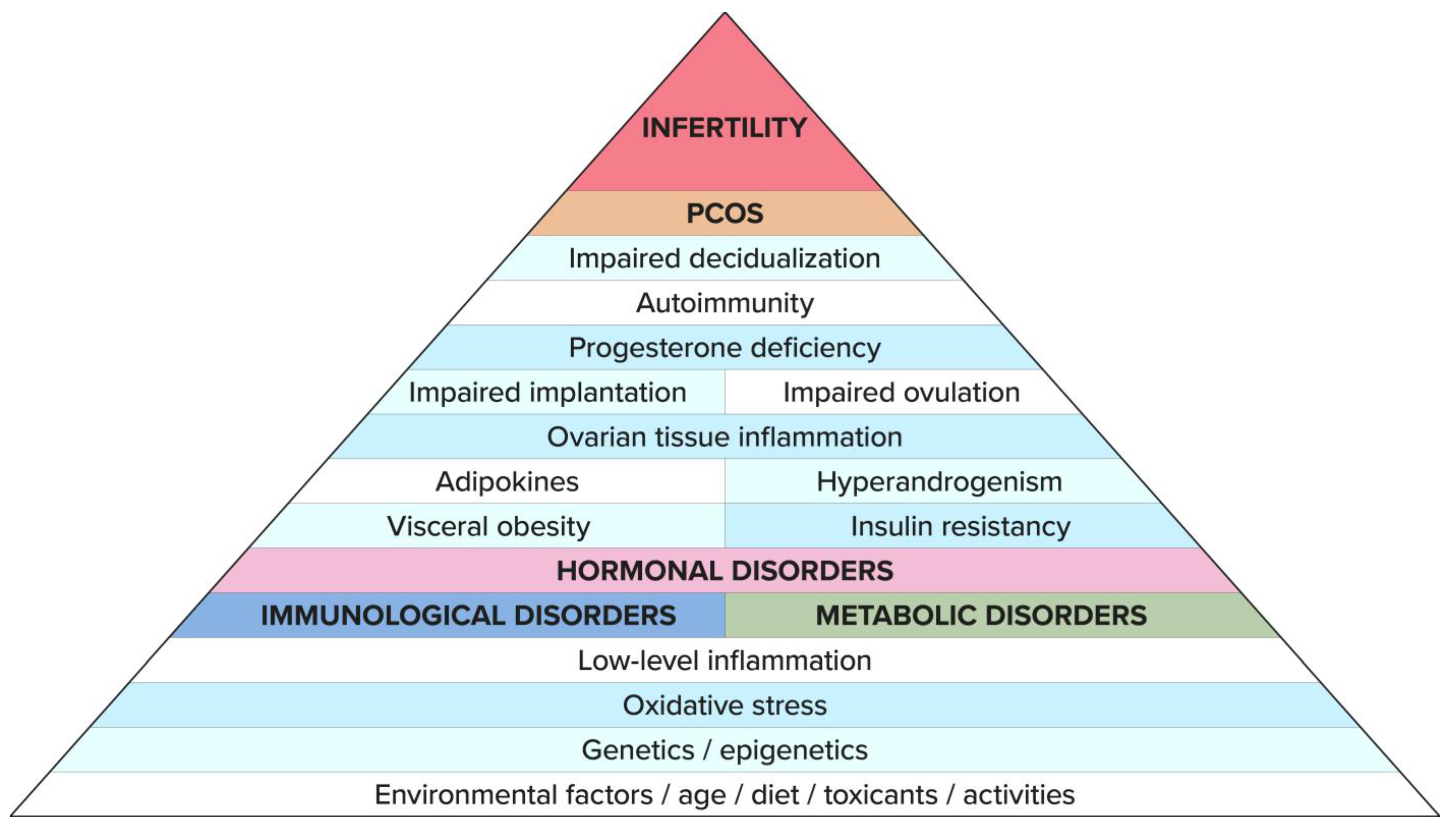 Biomedicines 11 01567 g001 Biomedicines 11 01567 g001