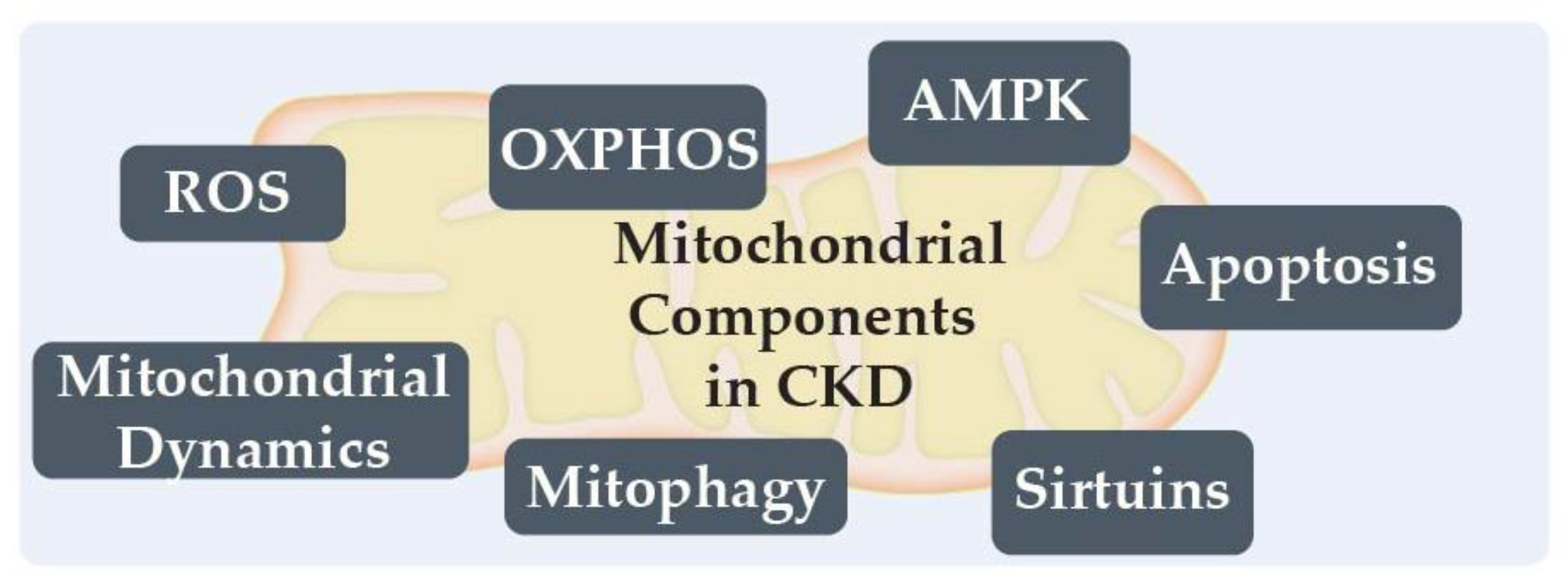Biomedicines 11 01573 g001