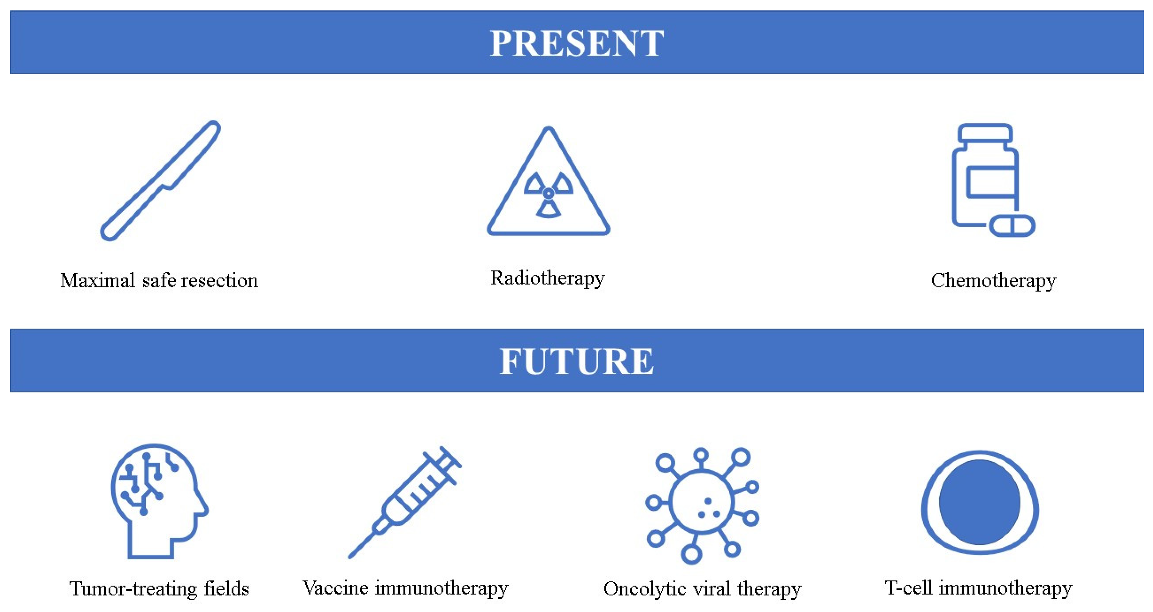 Biomedicines 11 01579 g001