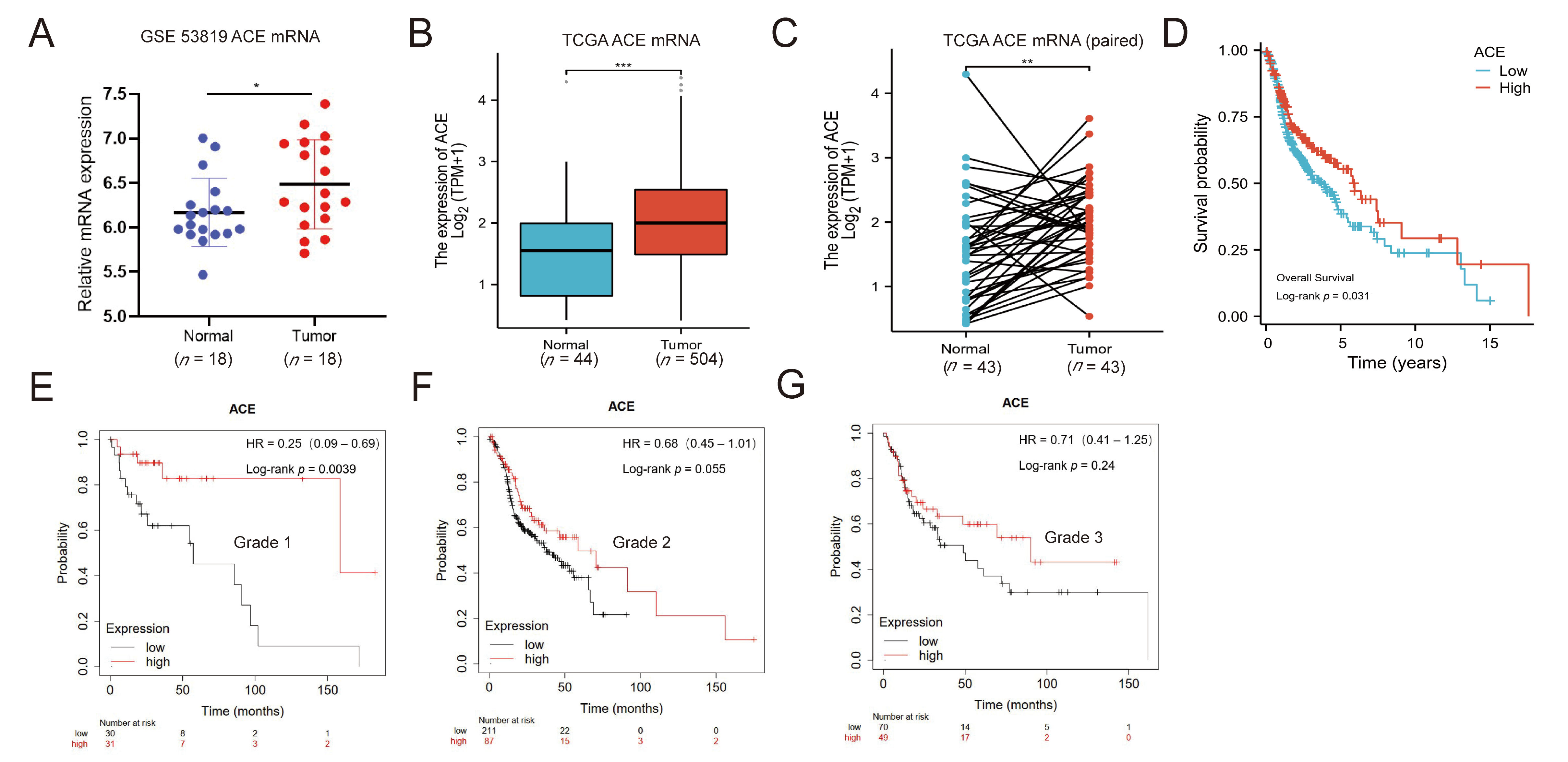 Biomedicines 11 01581 g001