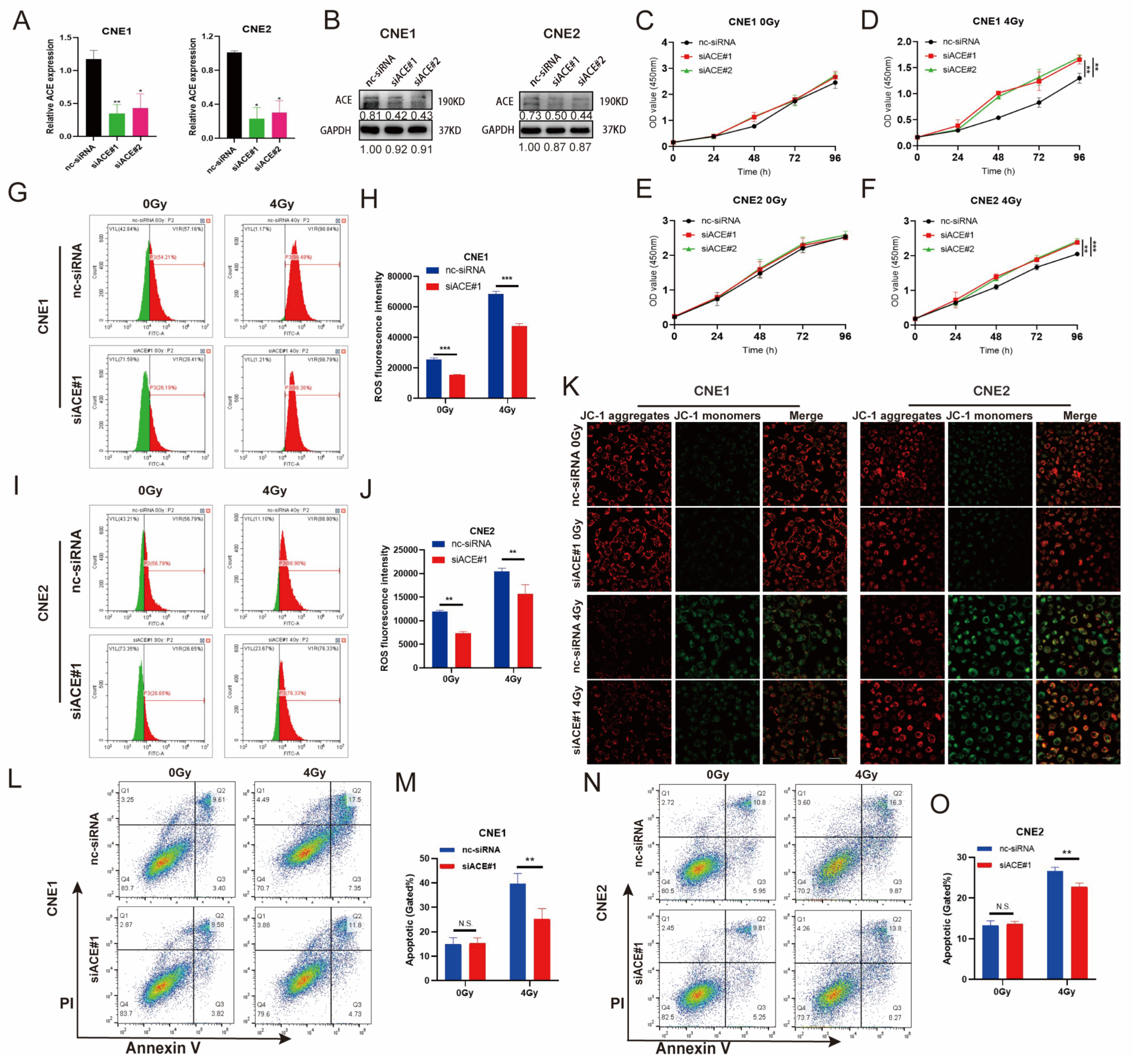 Biomedicines 11 01581 g002